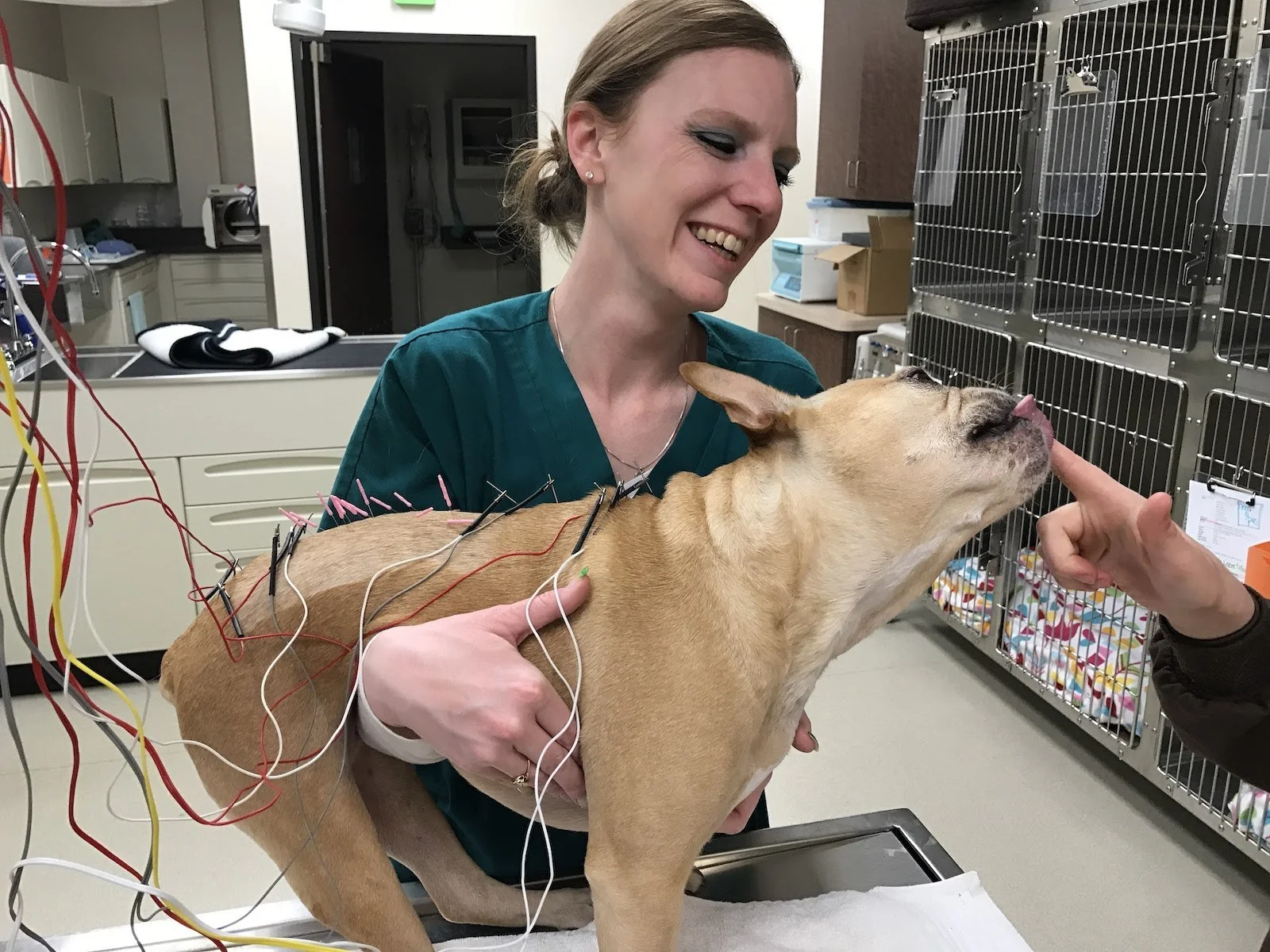 Acupuncture-at-Back-on-Track.jpg
