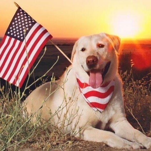 We will be closed Saturday July 4th. If your pet needs assistance coping with fireworks please let us know before close on Friday. Stay safe!