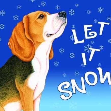 How are your pups doing in the snow?! Let&rsquo;s see you snow lovers or warm snugglers below. #snowdog
