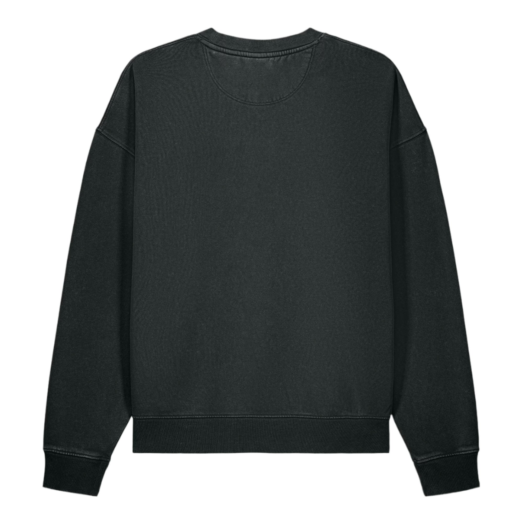 unisex-vintage-garment-dyed-easer-sweatshirt-g.-dyed-black-rock-back-6ab668207909e.jpg