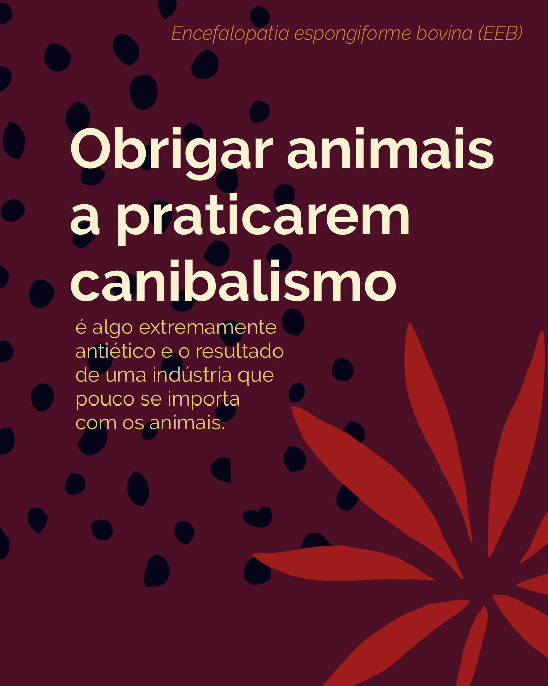 IMG_7013.PNG