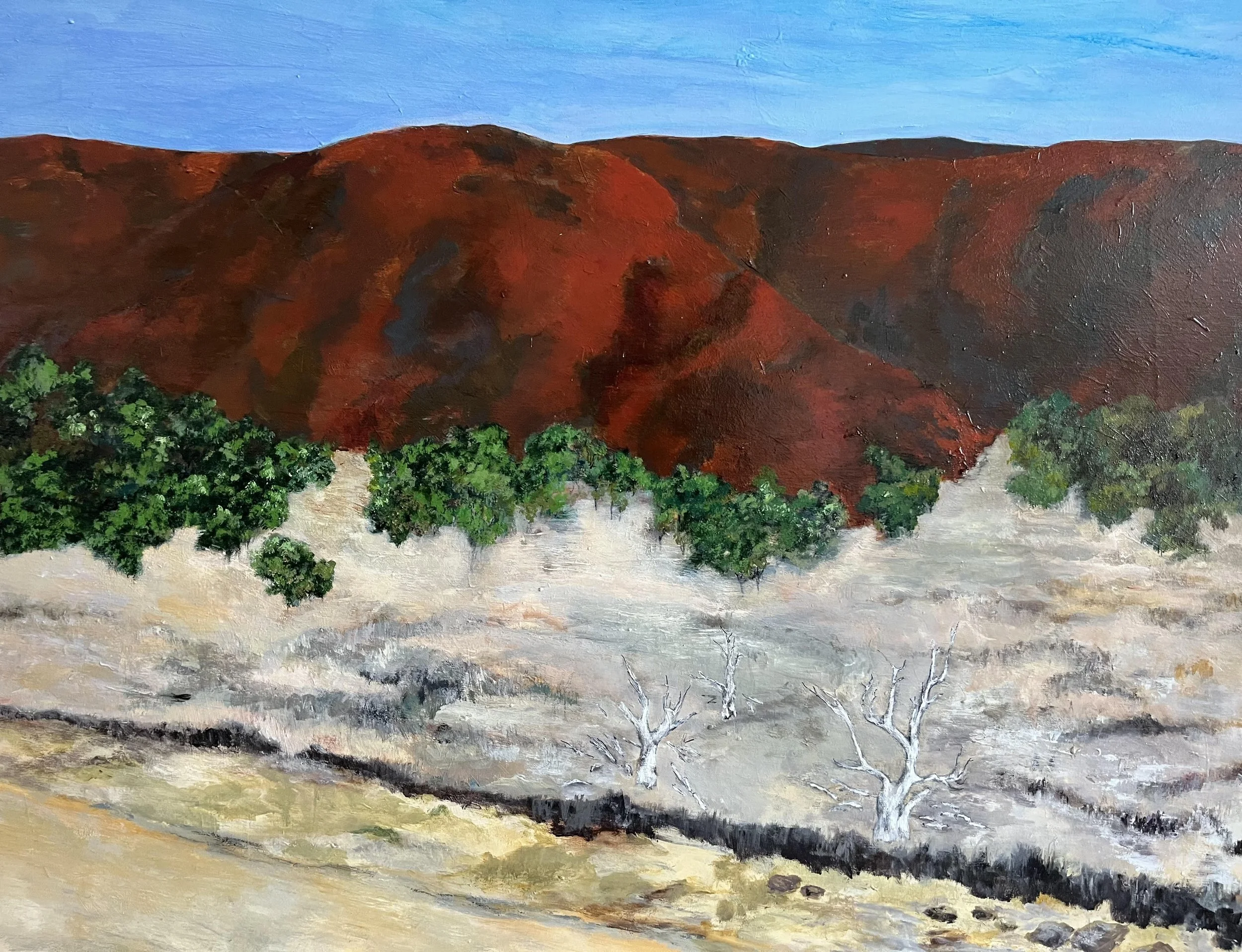 east macDonnell ranges binns track.jpg