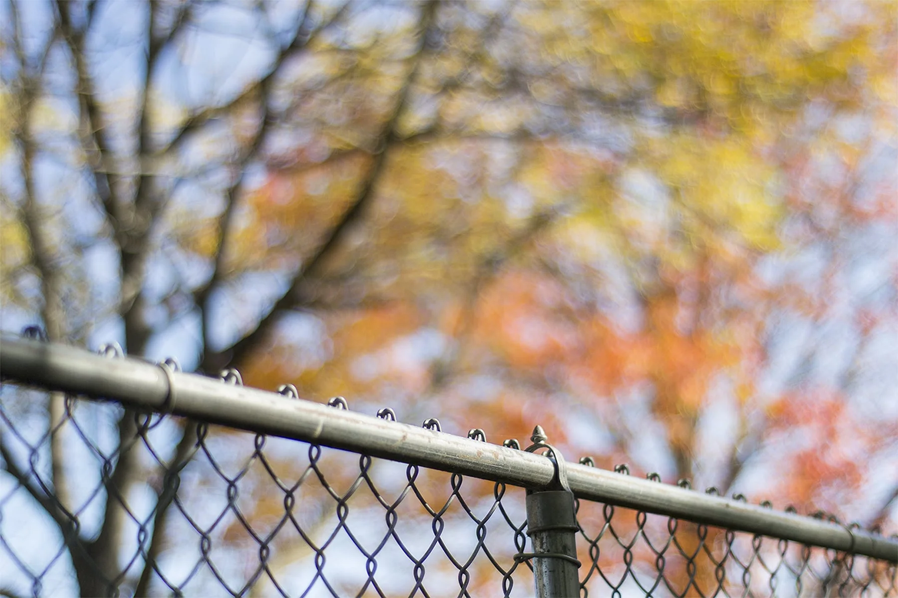 FencePhoto