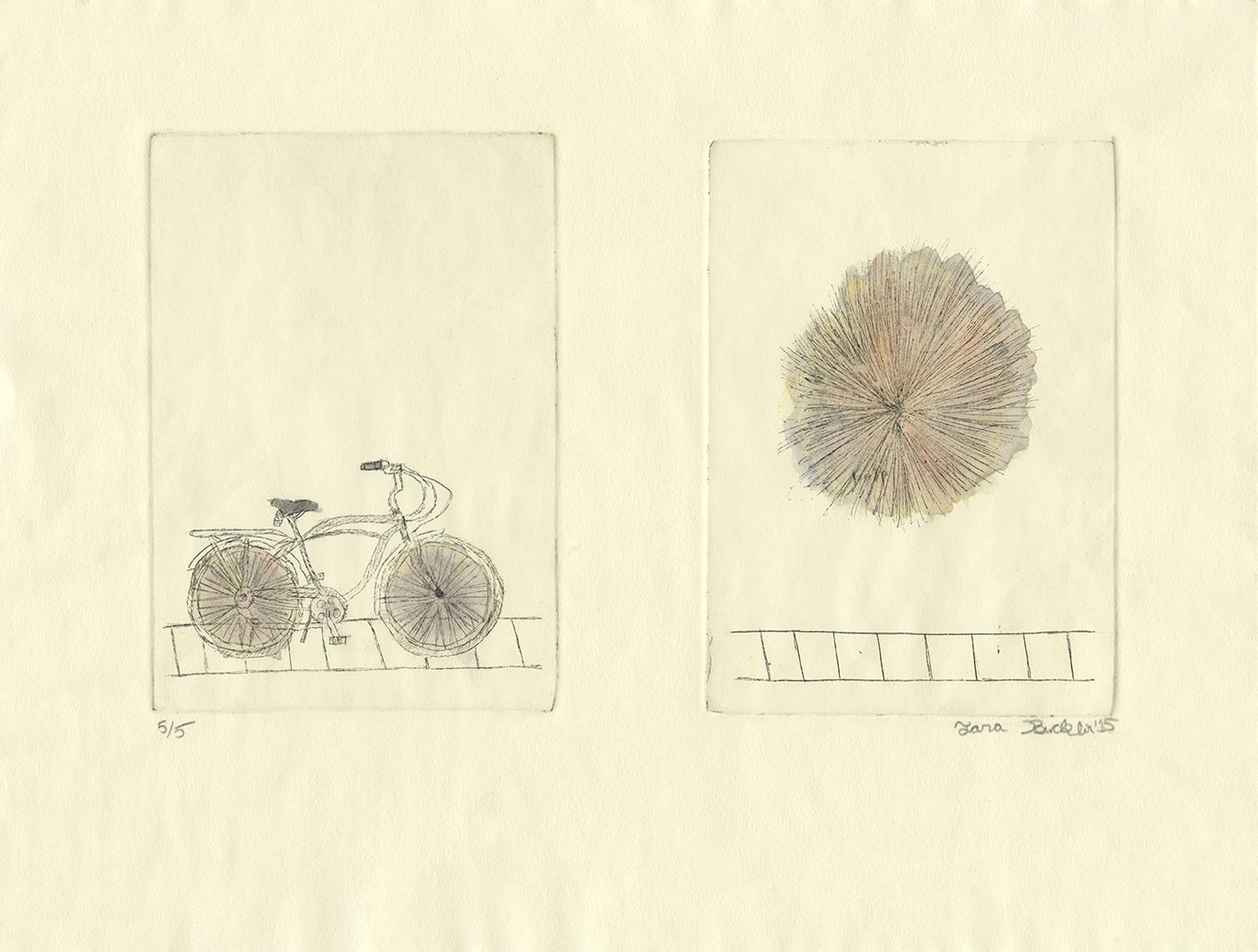 Bike3web.jpg
