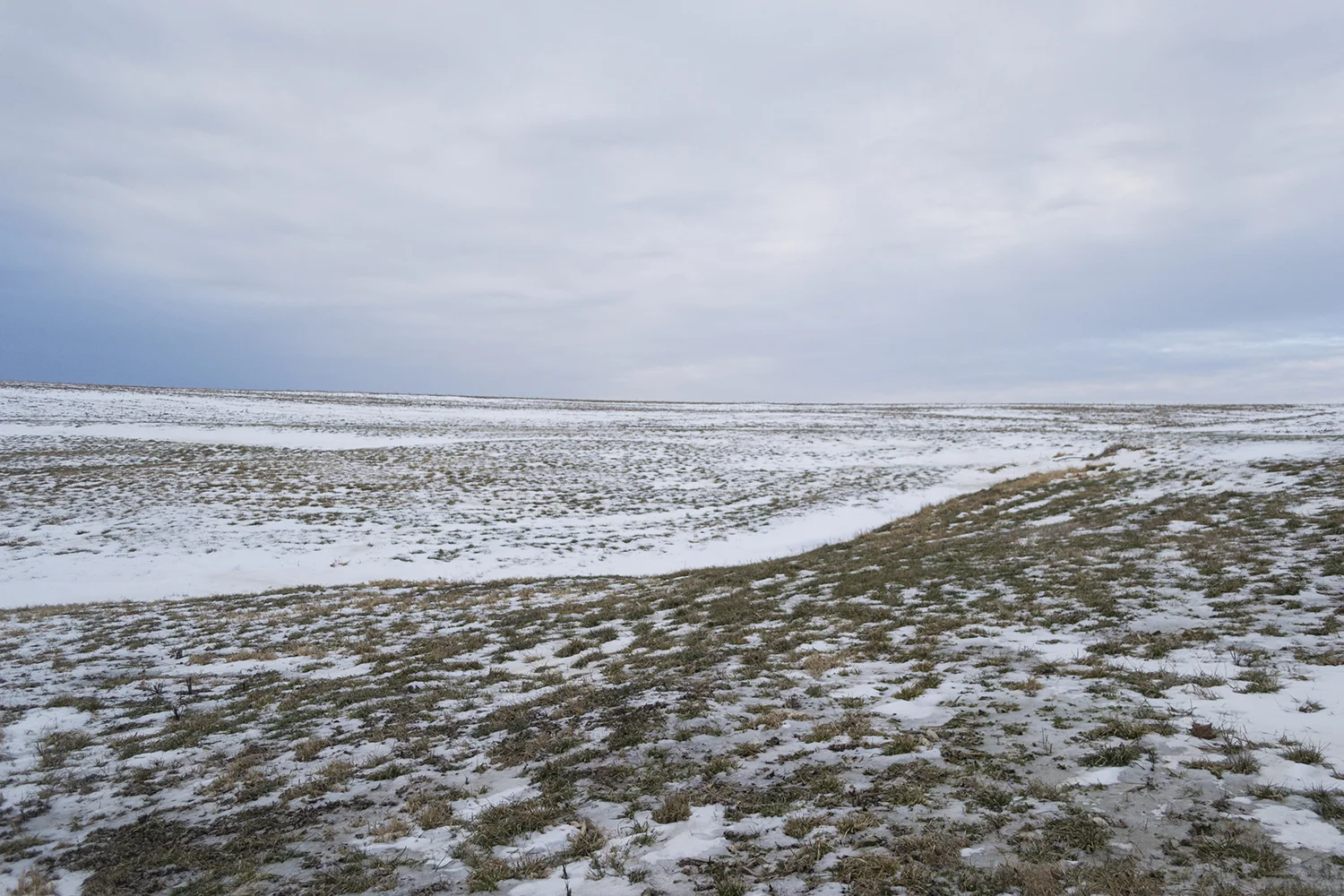 2016Jan16_4147.jpg