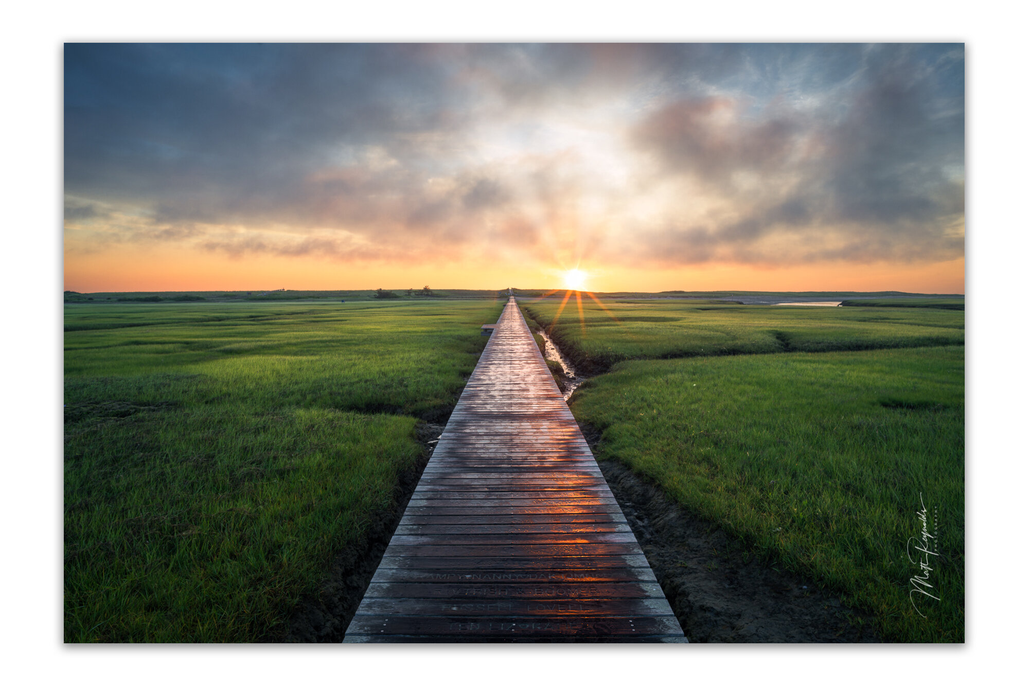 Wetlands.jpg