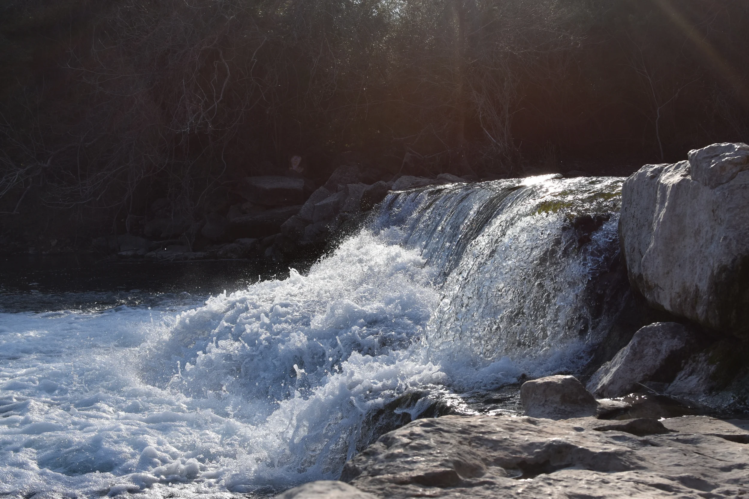 DSC_0617.JPG