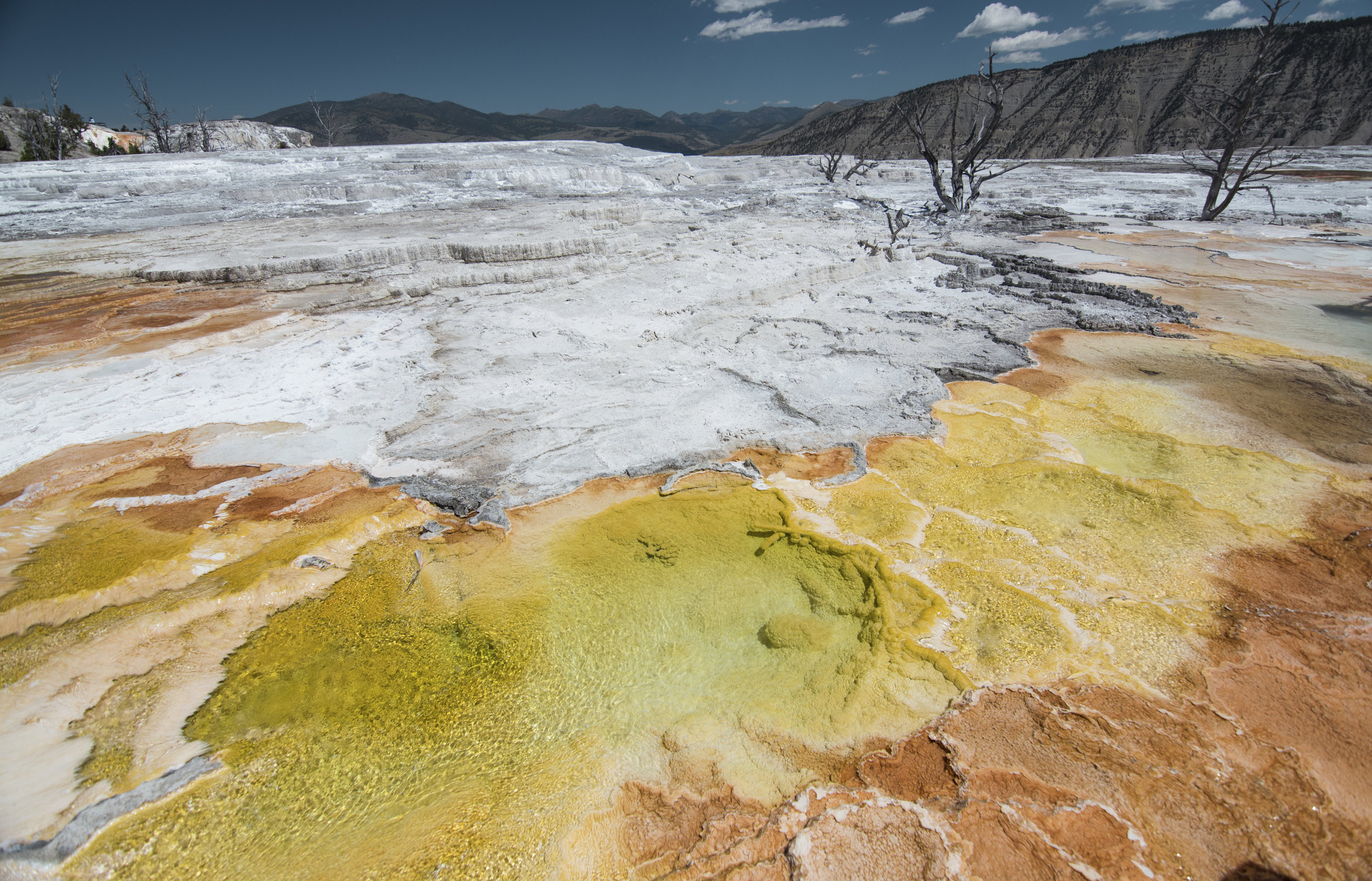 yellowstone_orange.jpg