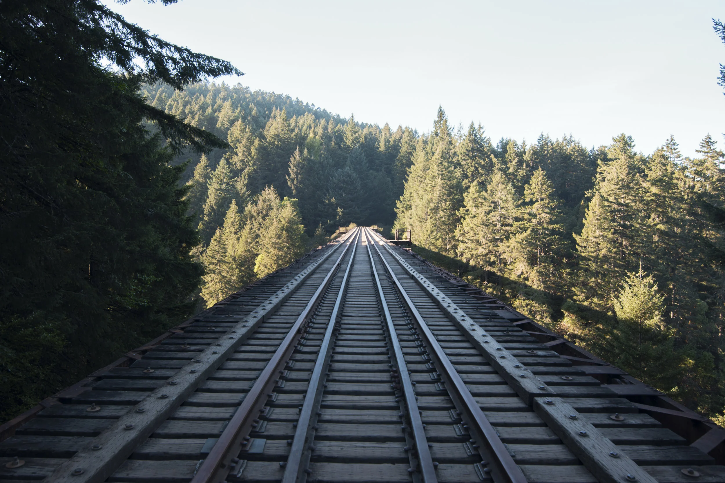 Goldstream Railway Tresle.jpg