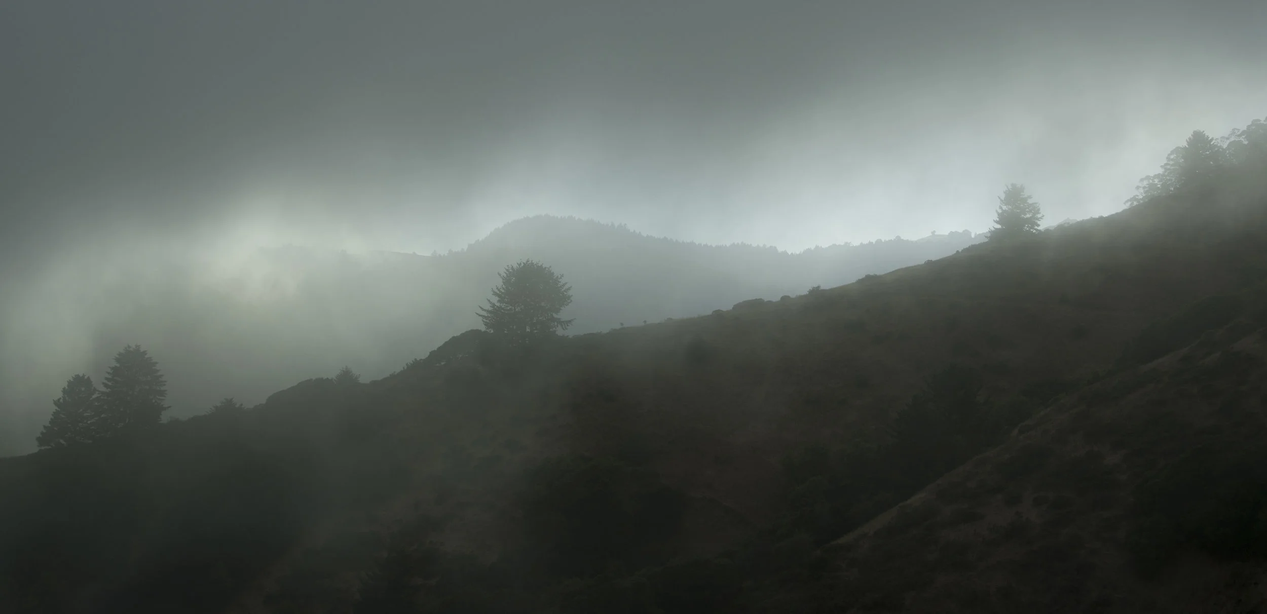 foggybottom.jpg