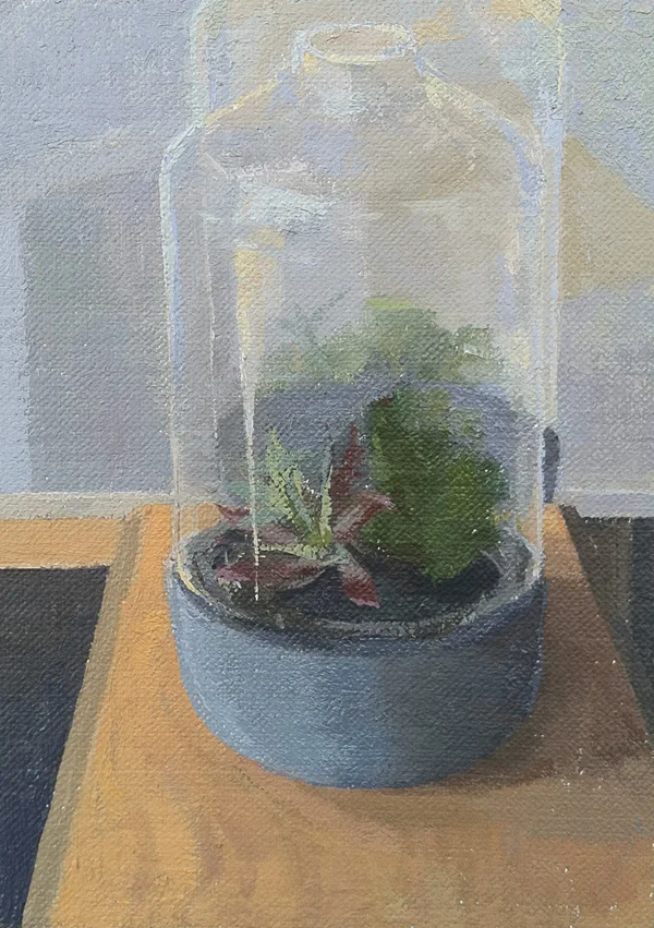 Untitled (succulent within terrarium and reflection), 2012