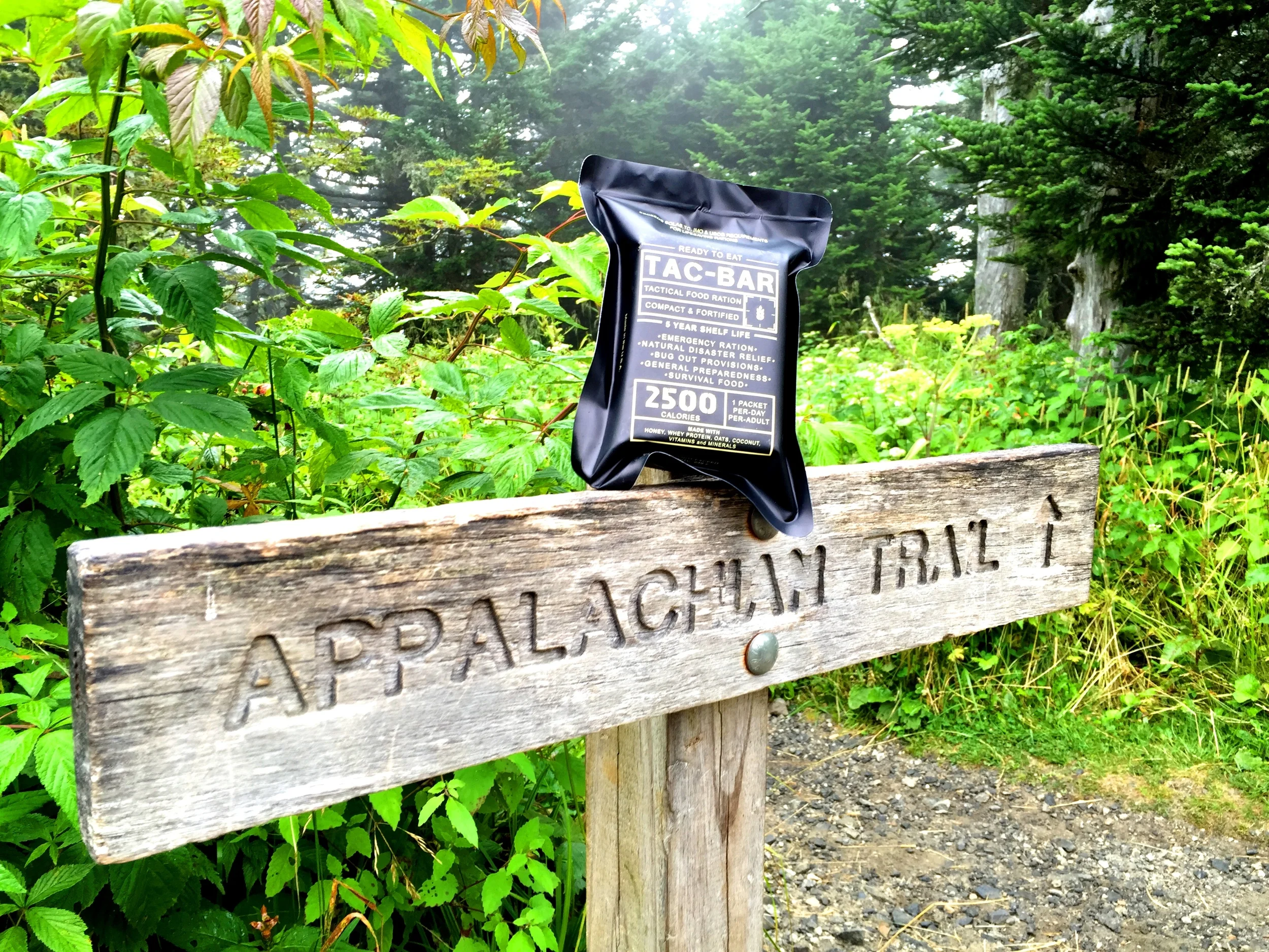 While section hiking the AT in the Summer of 2015, we polished our formula for vitamins and minerals, not just calories. 