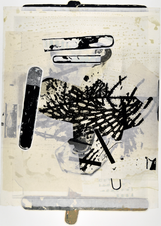 Mistaken in Charleviox II 29" x 19" litho, screen and chine colle