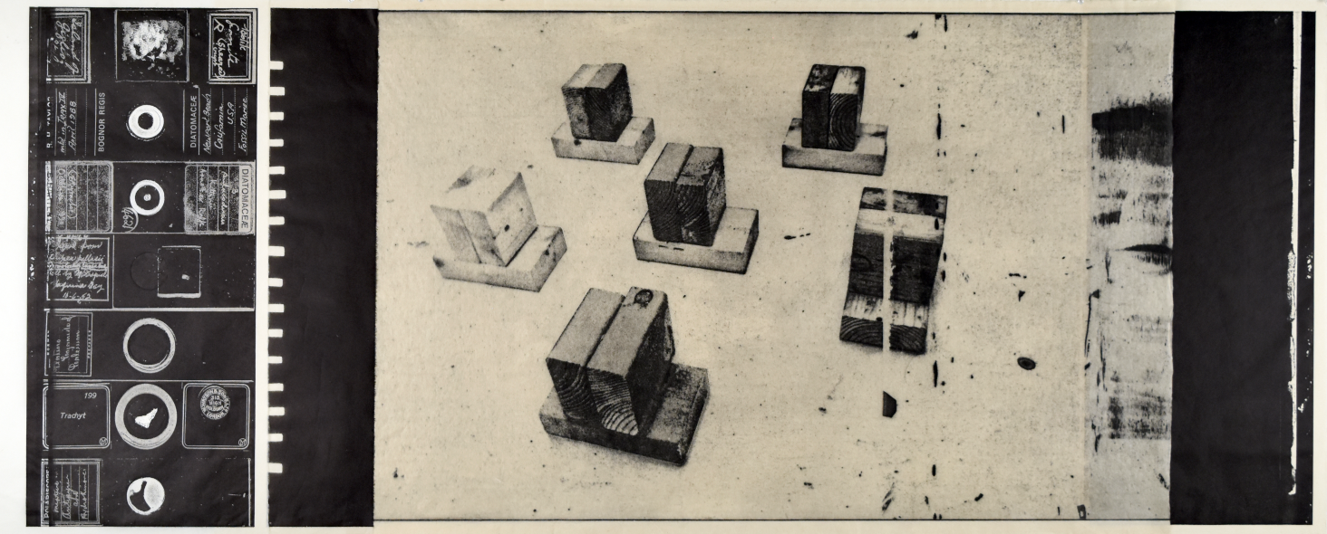 Mr. Palomar's Model of Models  XVI