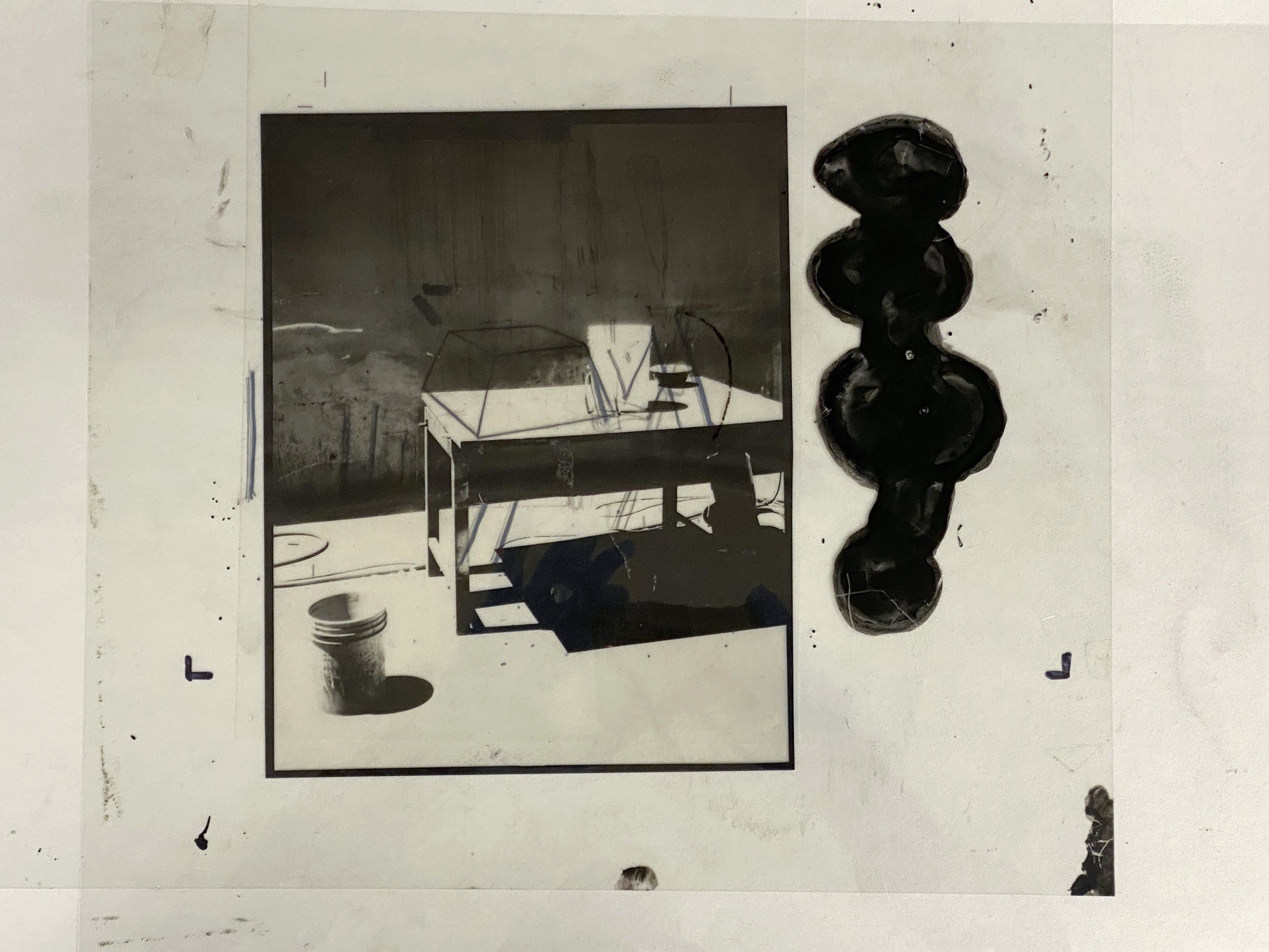  Lith film and gelatin silver print 