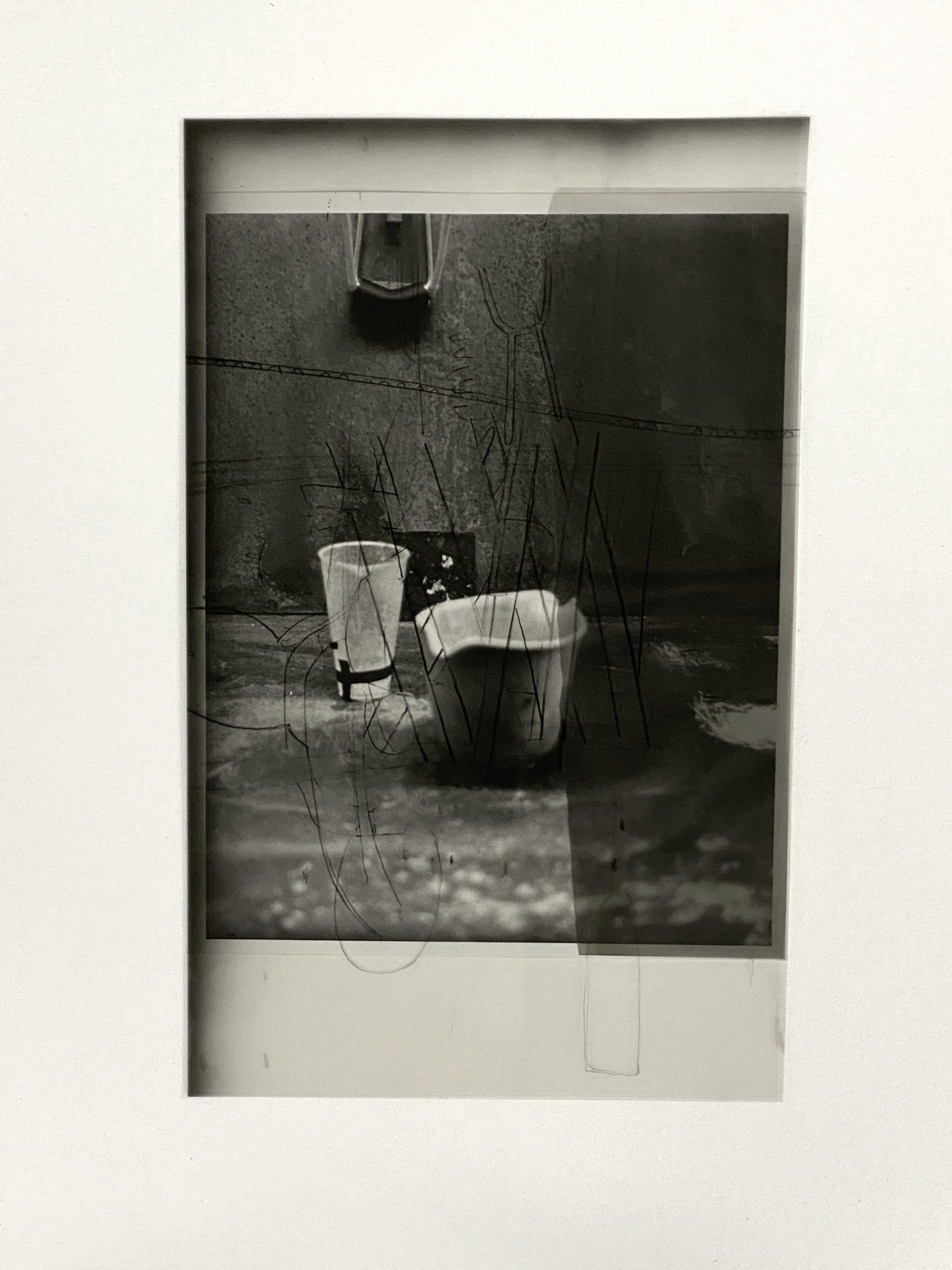  Lith film and gelatin silver print 