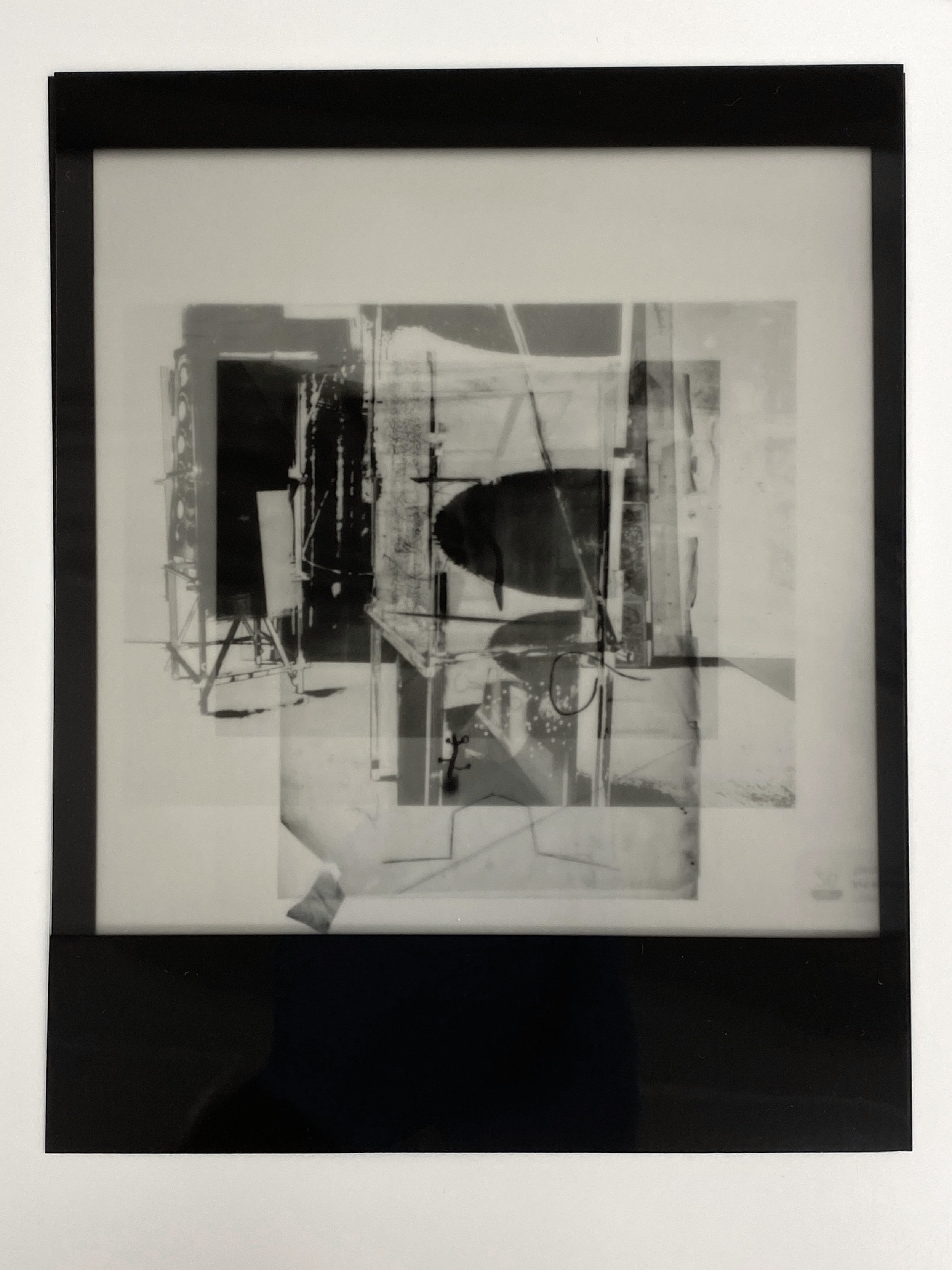  Lith film and gelatin silver print 