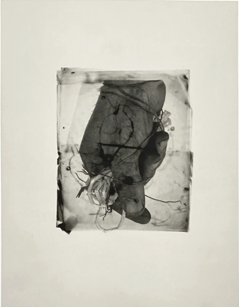Lith film and gelatin silver print 10" x 8"