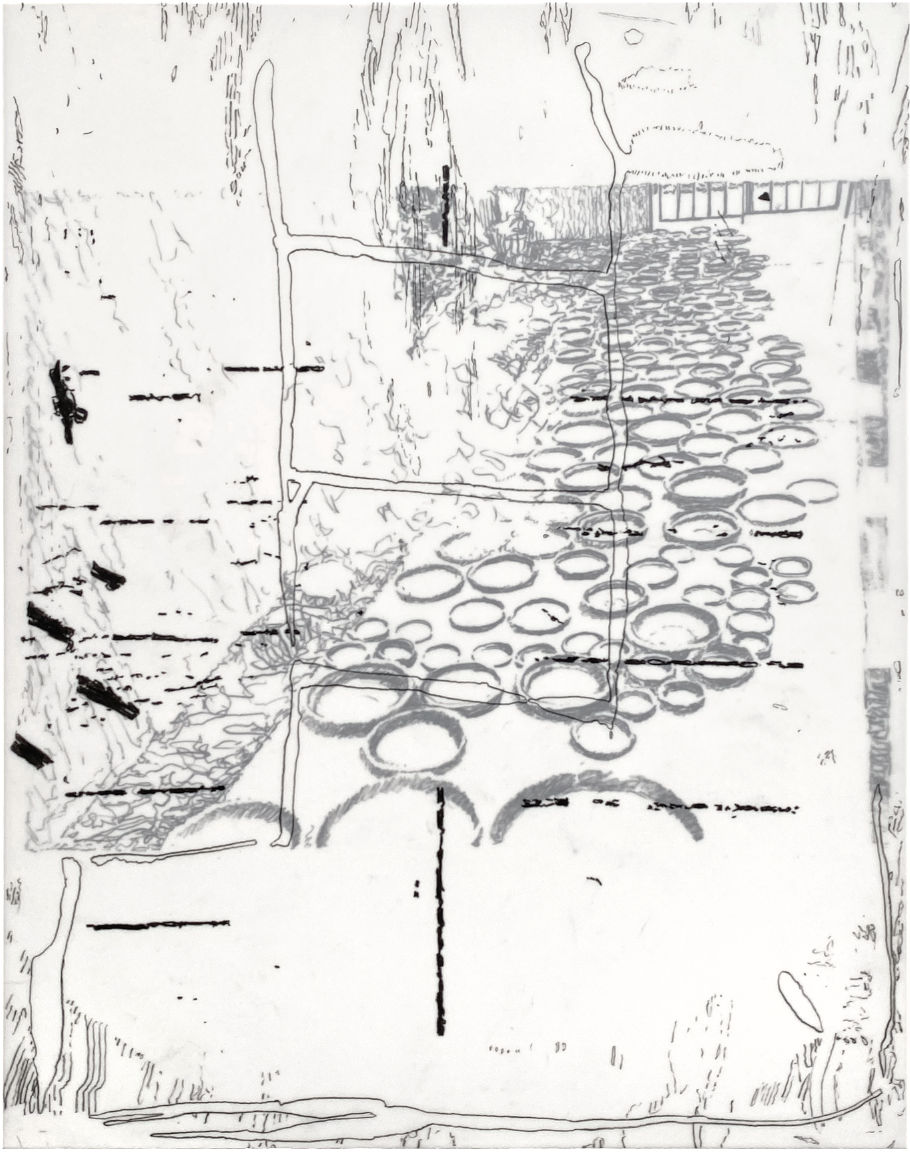 practice setting the ladder