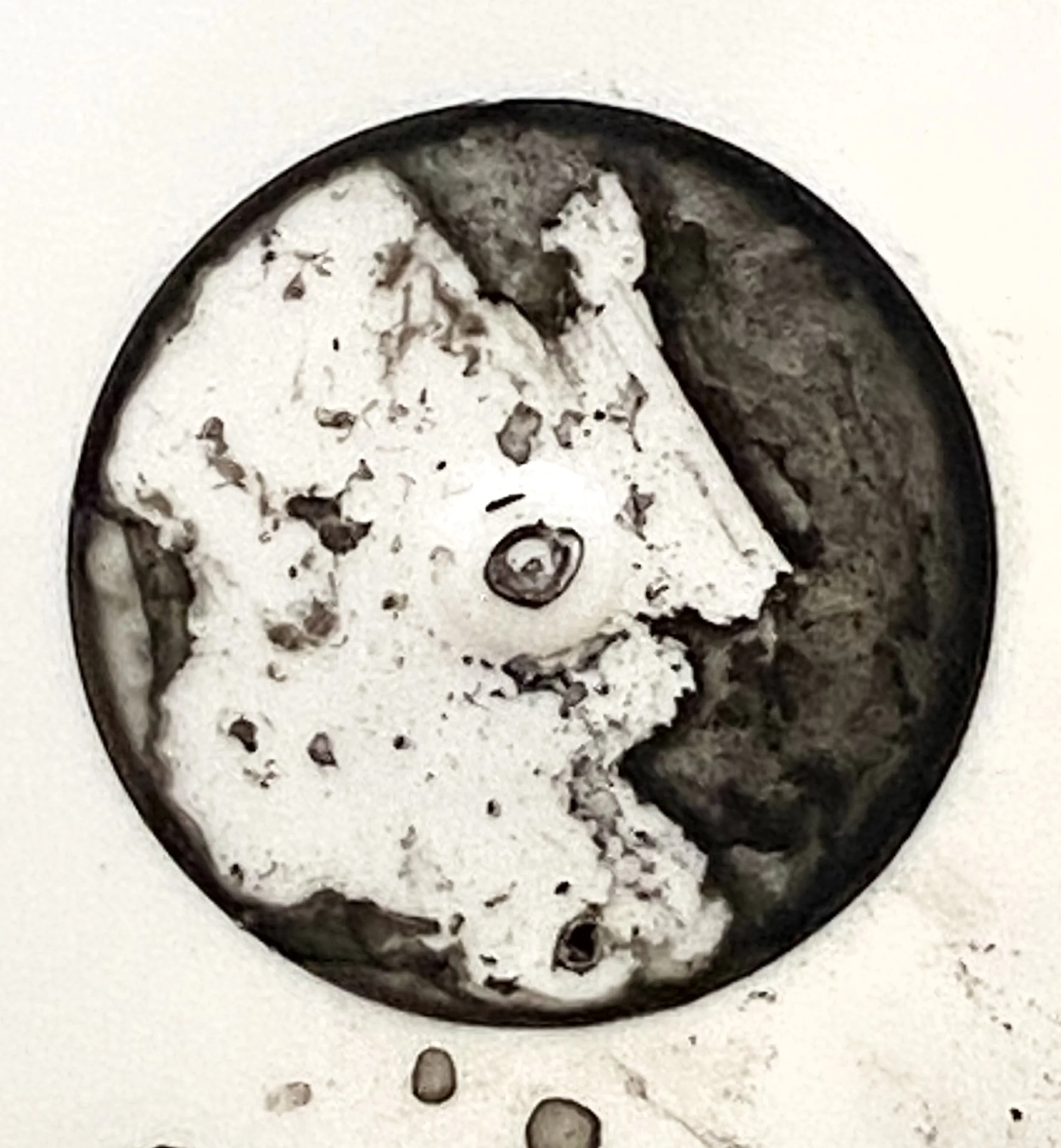 face for website.jpg