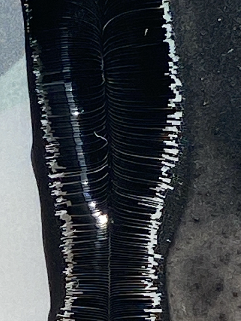 2. Screenshot 2025-04-22 at 3.16.33 PM.png