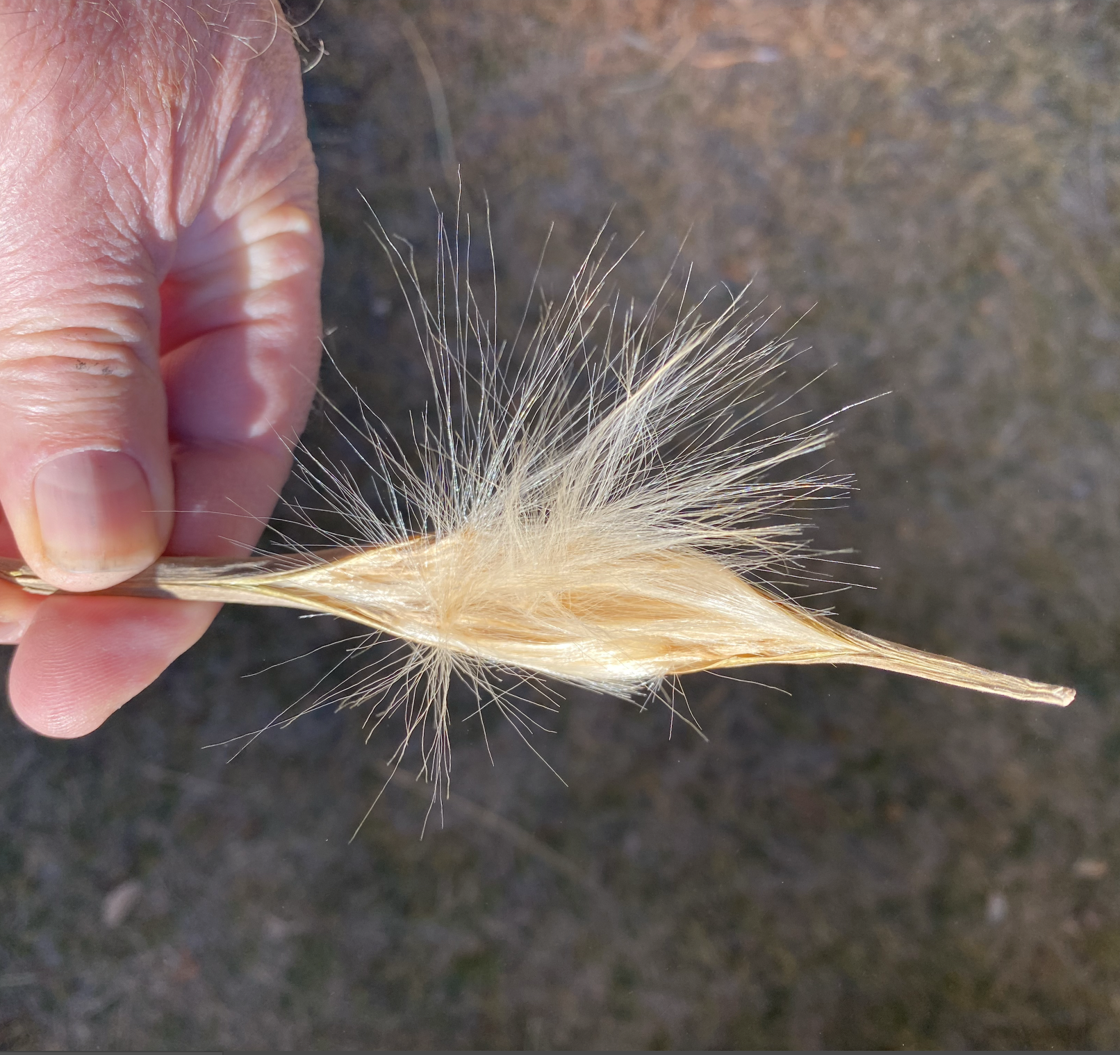 1. Screenshot 2025-04-22 at 3.10.31 PM.png