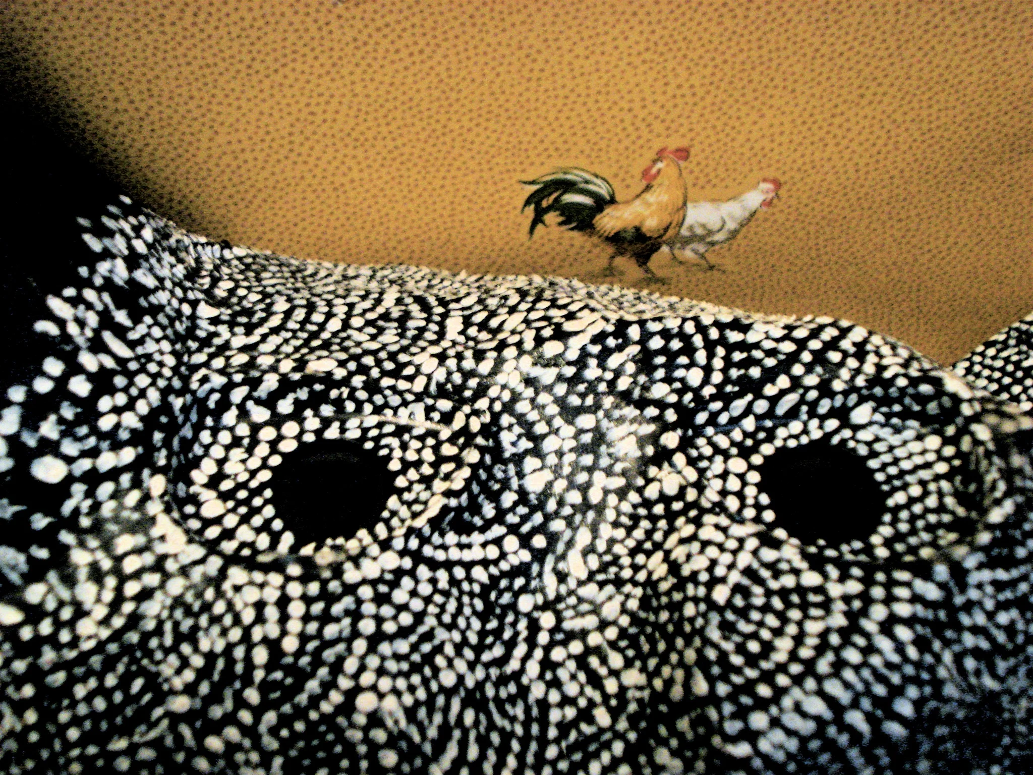 Guinea Fowl Viewmaster detail