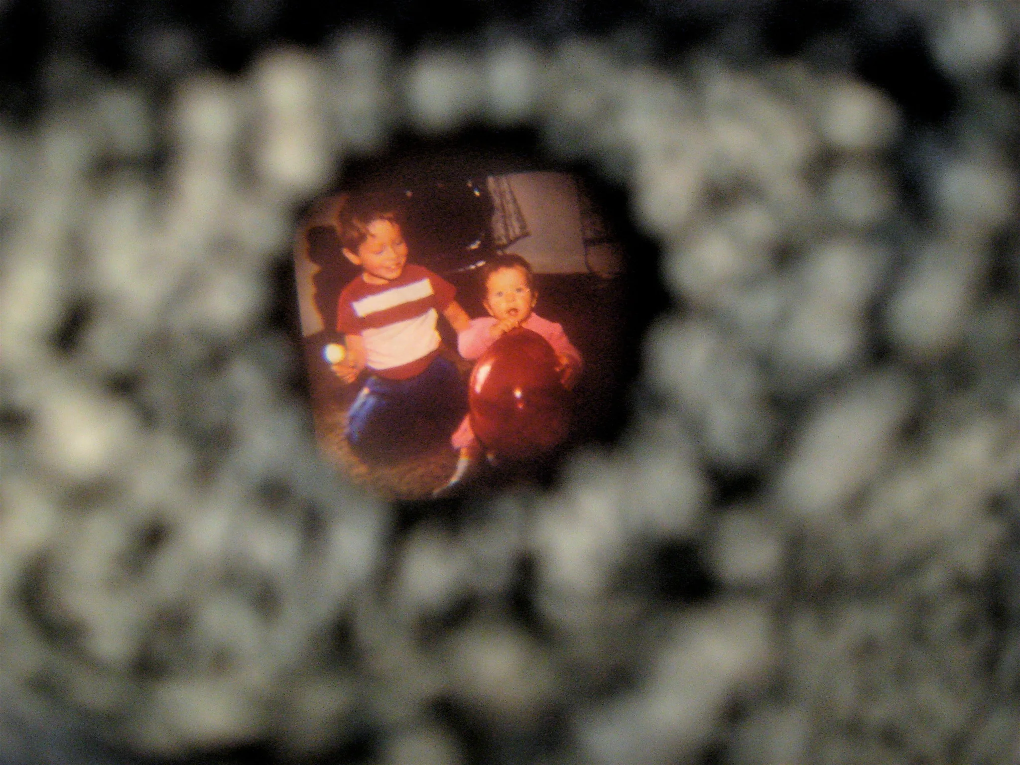 Guinea Fowl Viewmaster detail