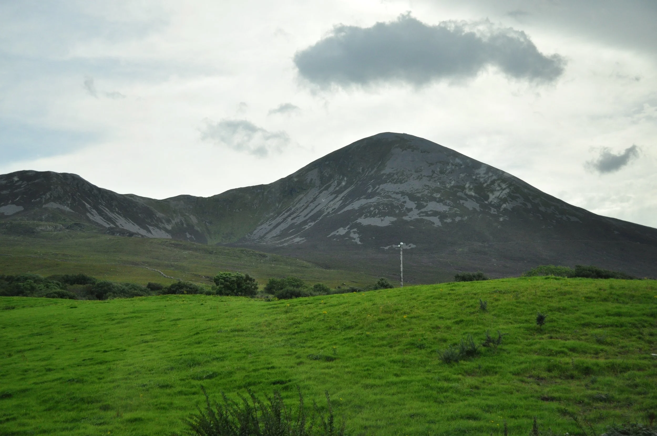 DSC_0333.JPG