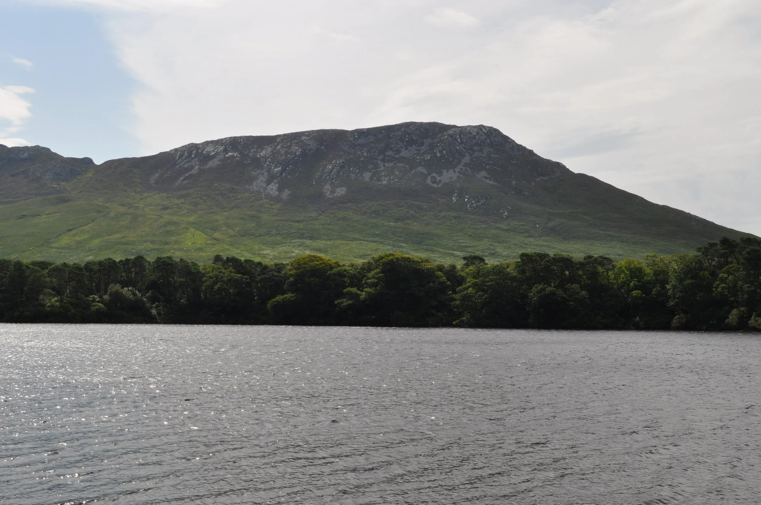 DSC_0282.JPG