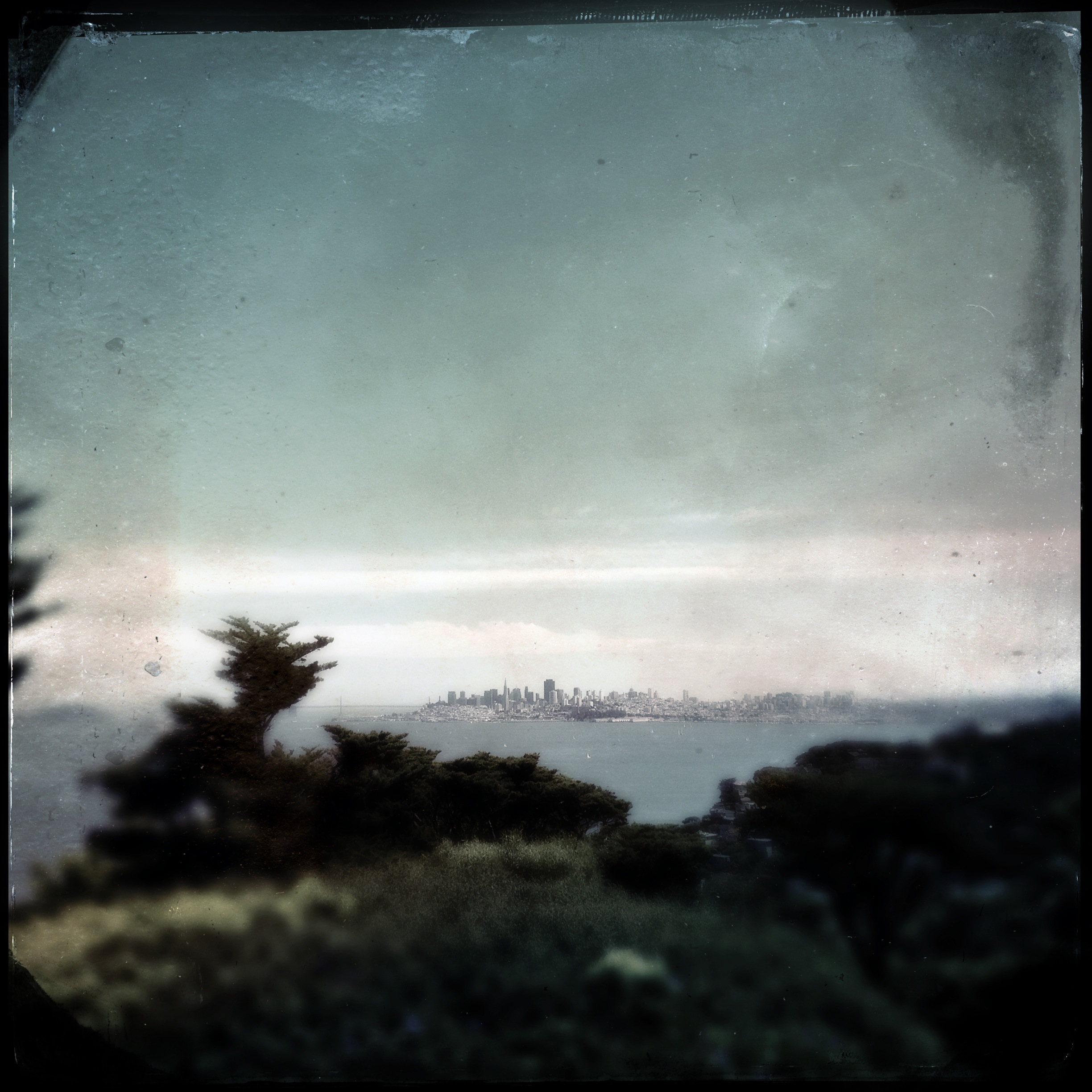 SF.jpg