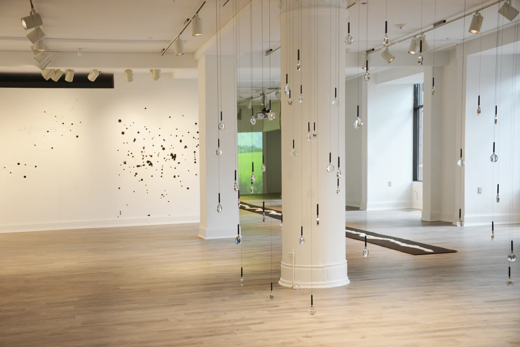5. RW + CE installation view (4x6).jpg