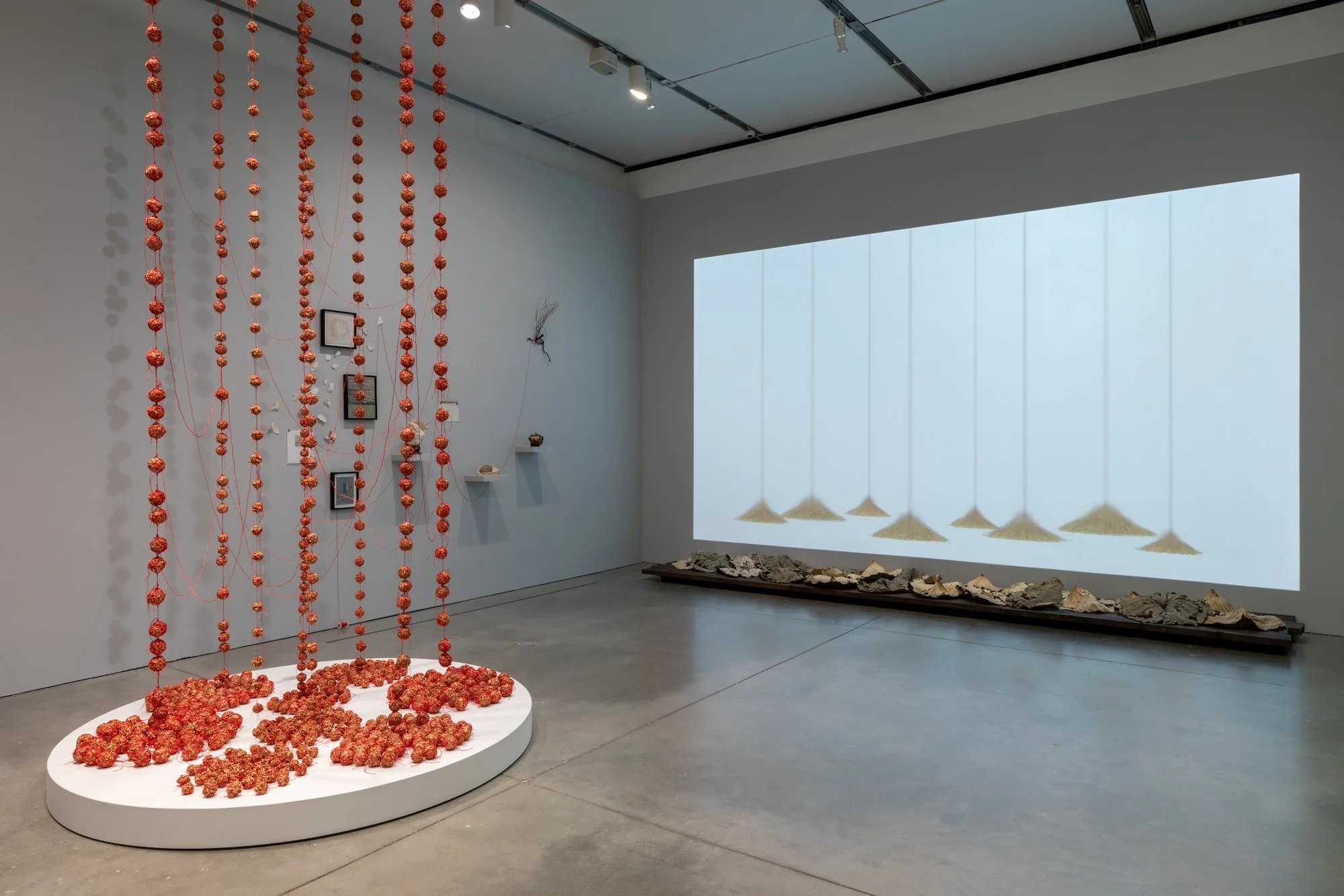  Installation view of ‘James and Audrey Foster Prize Exhibition’ at the Institute of Contemporary Art, Boston, 2023-24. Photo by Mel Taing. 