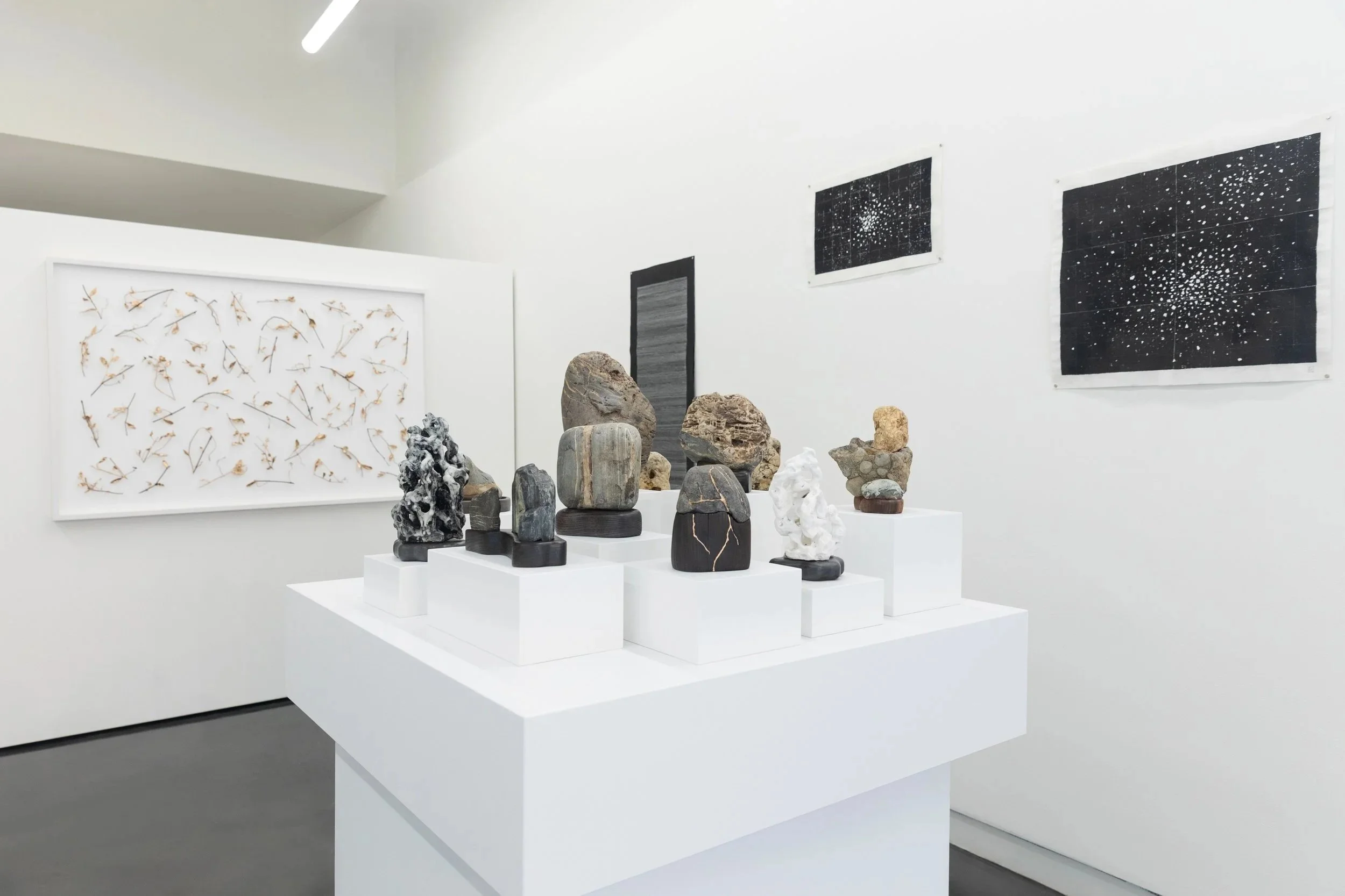  Installation view of ‘Re/Generation’ at Praise Shadows Art Gallery, Boston, 2024. 