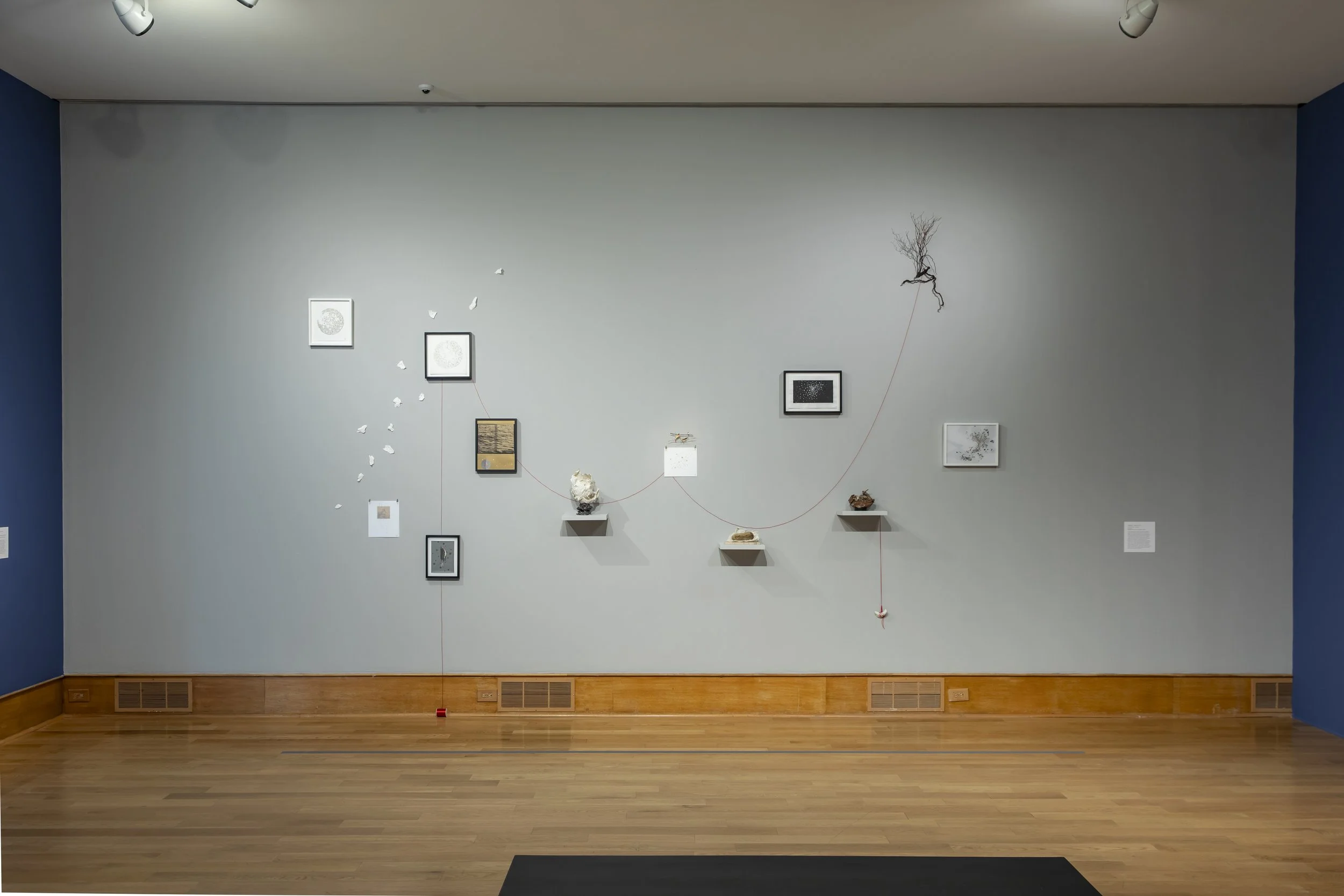     Topographies: Mapping Being and Belonging:‍        The Des Moines Art Center (4700 Grand Avenue Des Moines, IA 50312) from June 13 – September 20, 2026. 