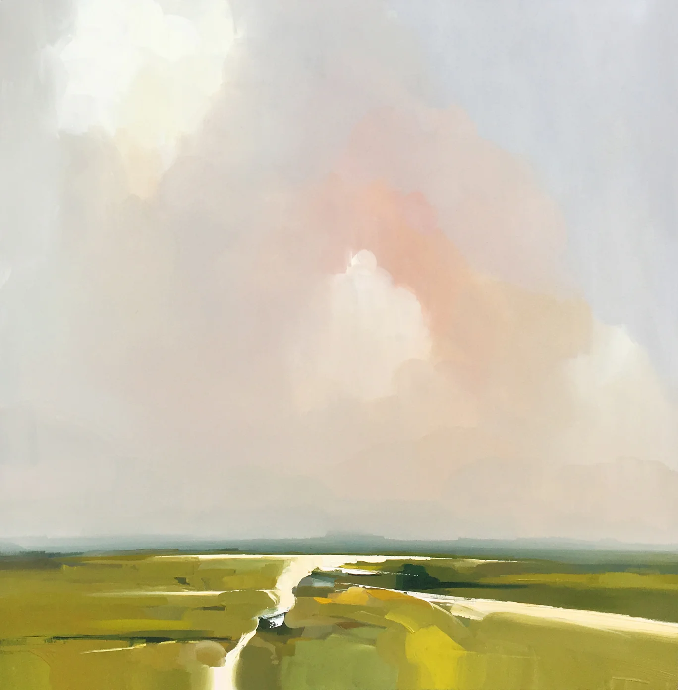 TWILIGHT SKY  LLR .jpg