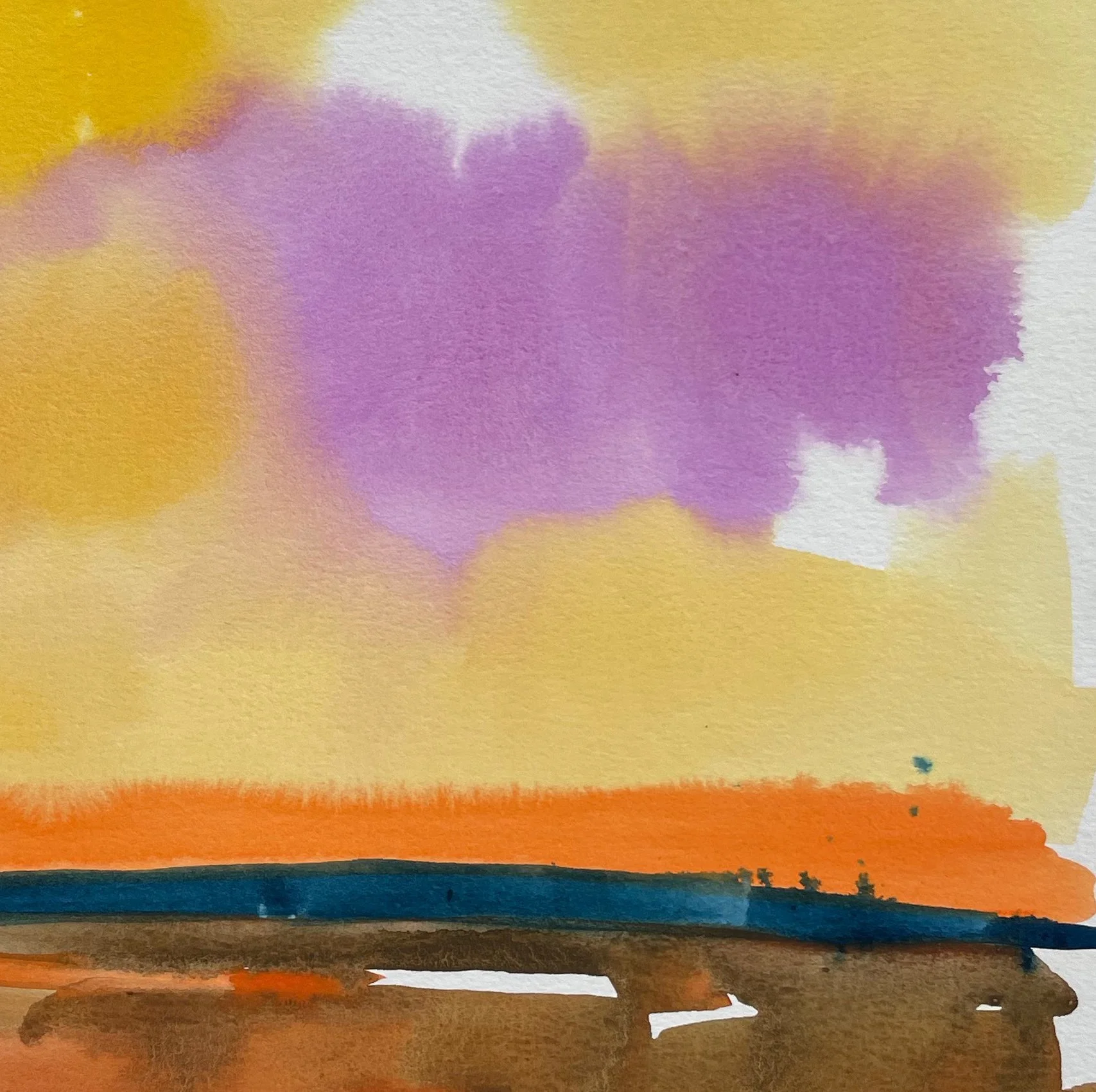 twilight marsh .jpeg