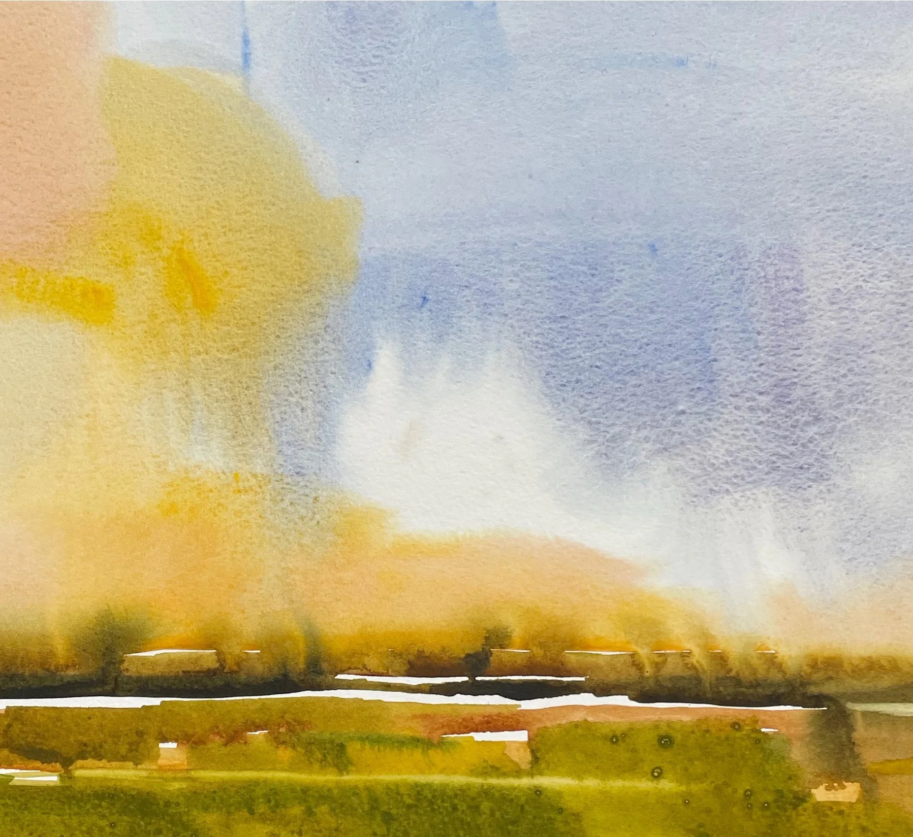 ISLAND MARSH RR HR.jpeg