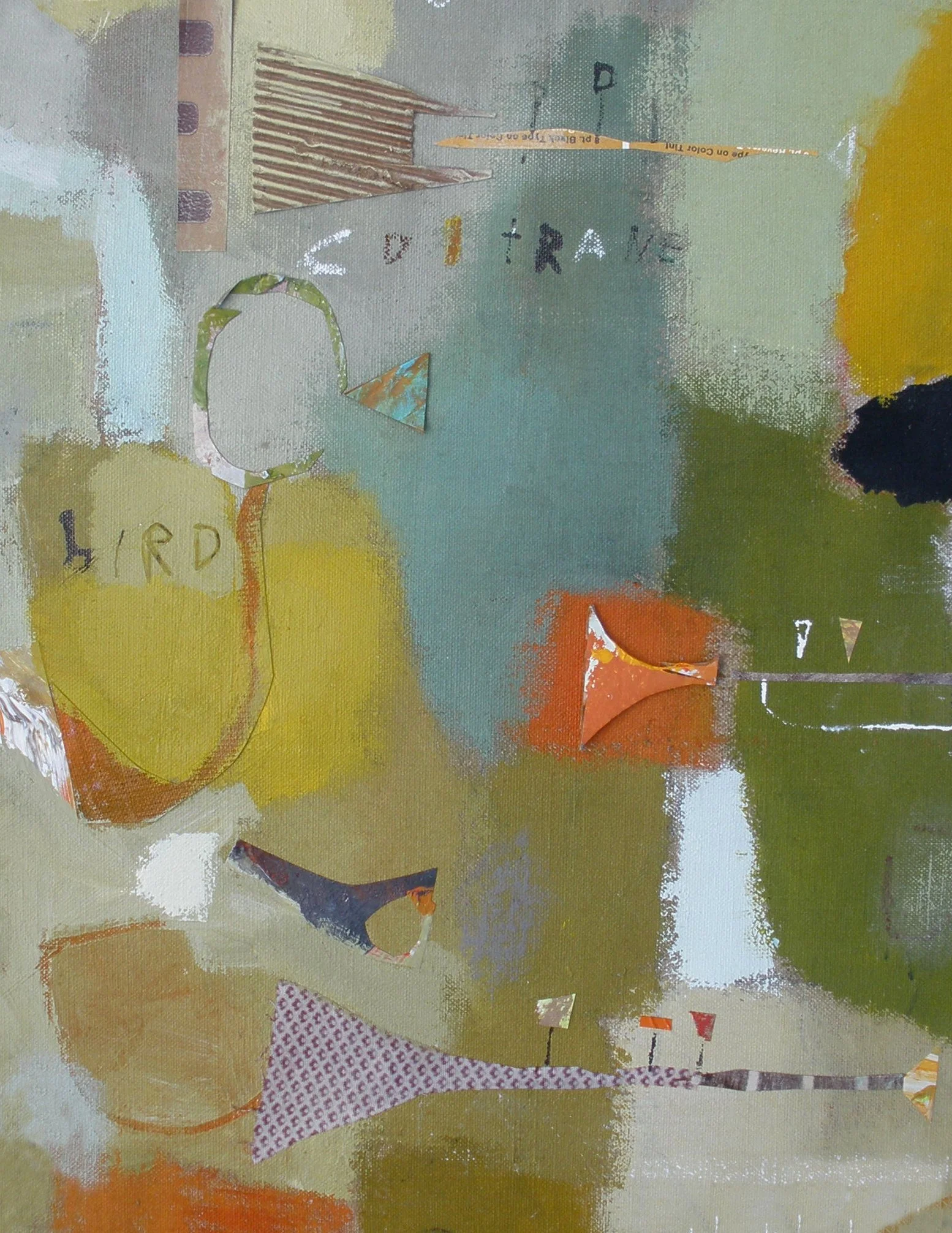 bird coltrain HR .jpg