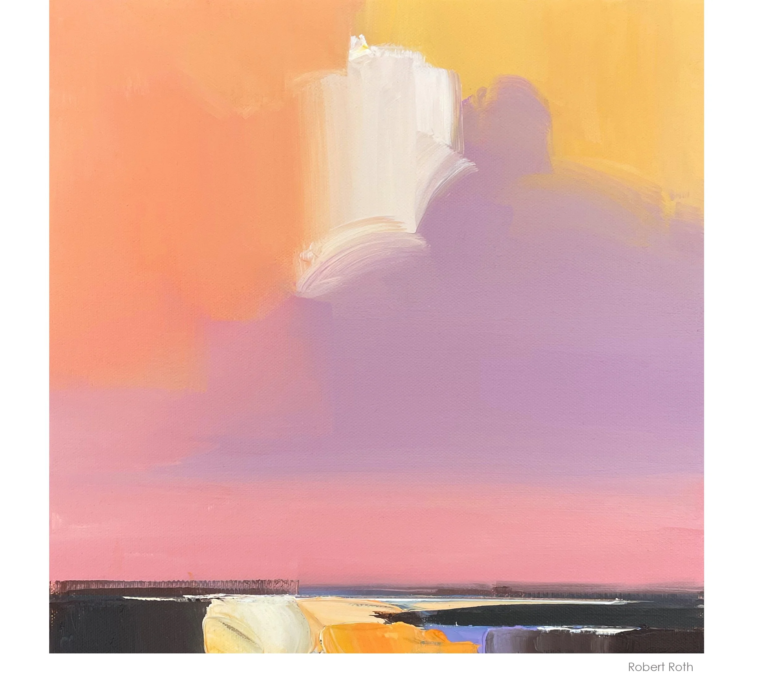 sky field #8 webbox n.jpg