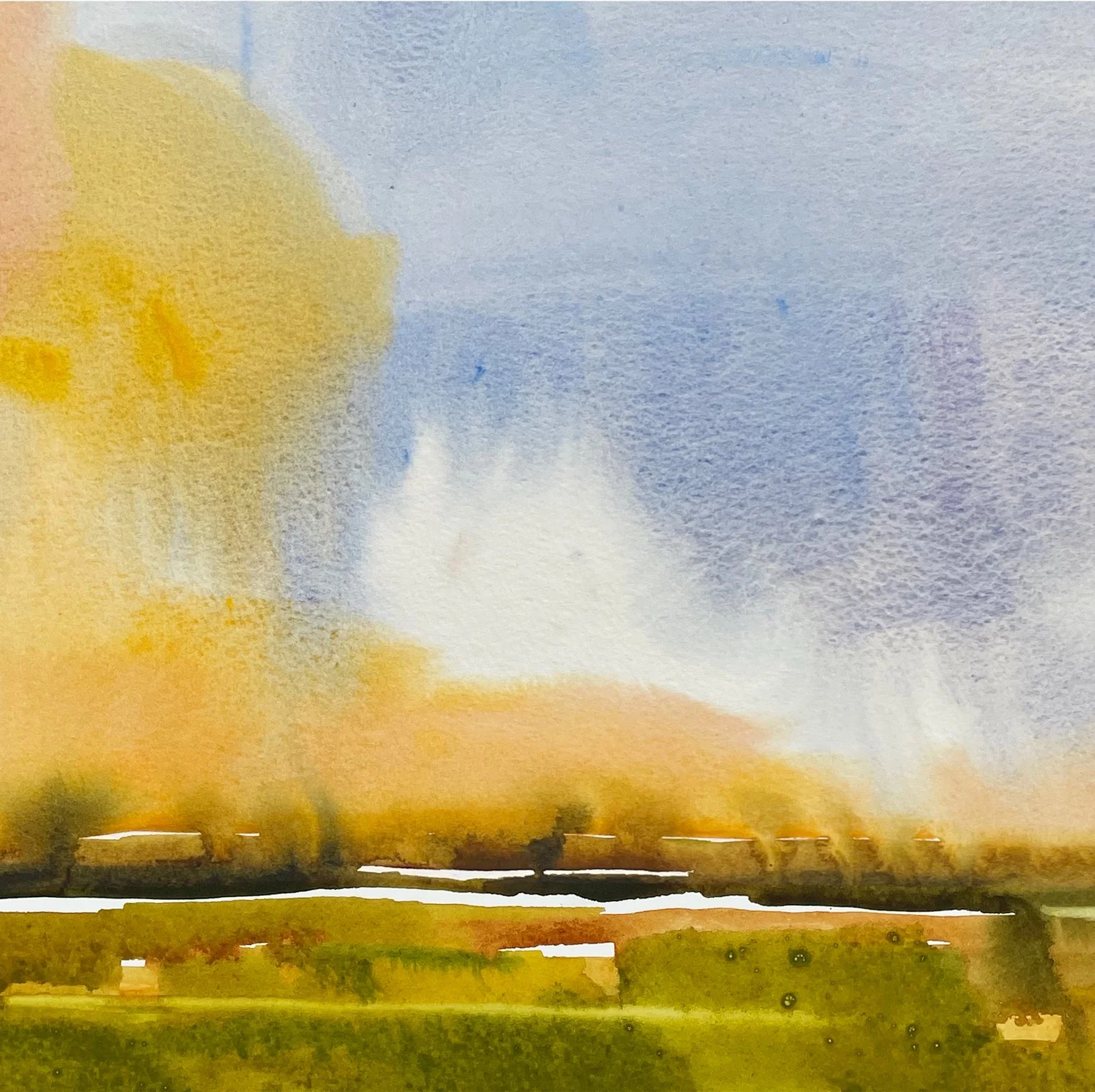 Island marsh  robert roth hr .jpg