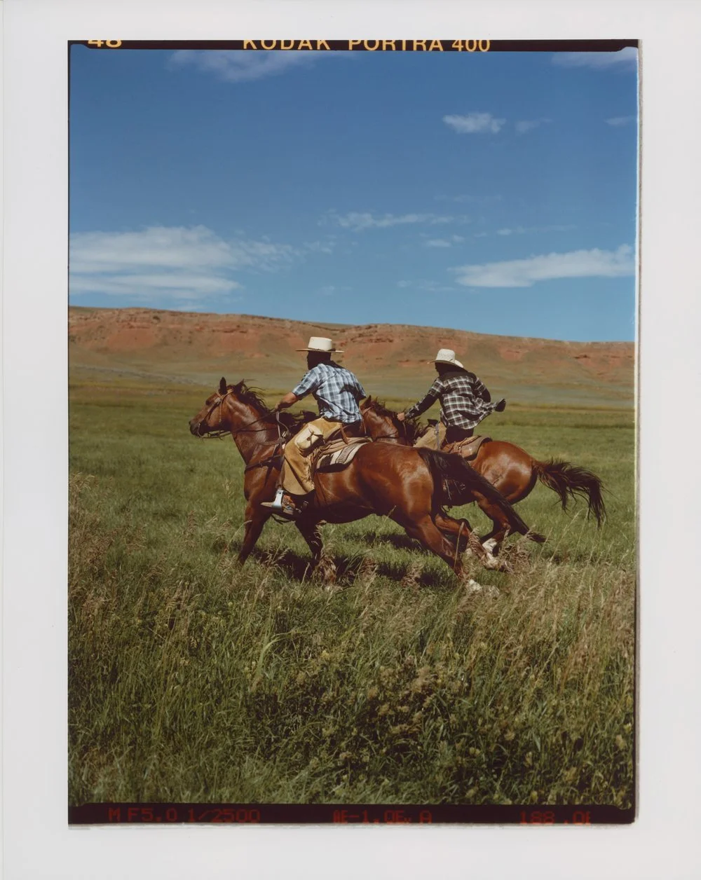 Dickies Fall 2023 Ranch &amp; Workwear