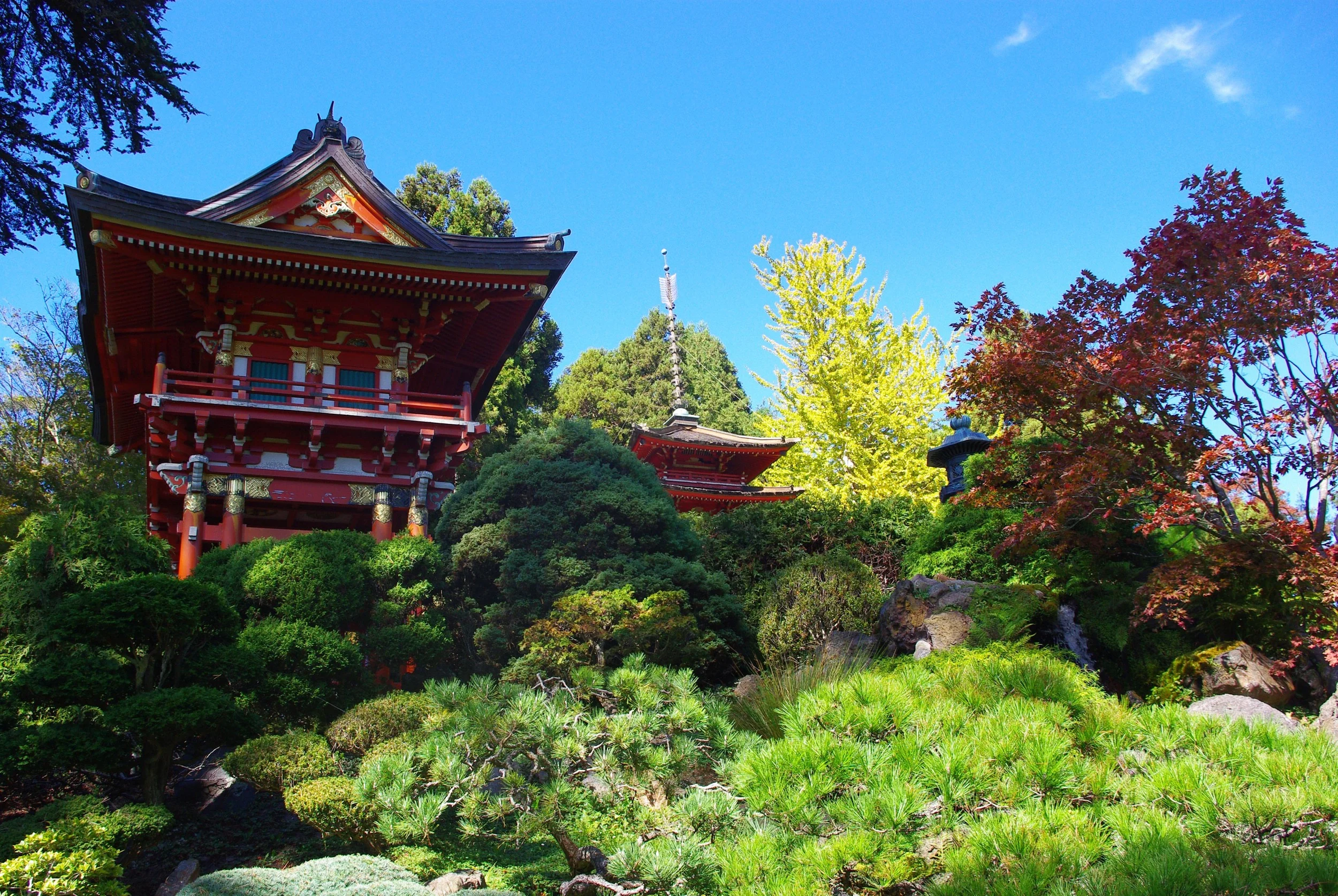 8. Revel at the Japanese Tea Garden