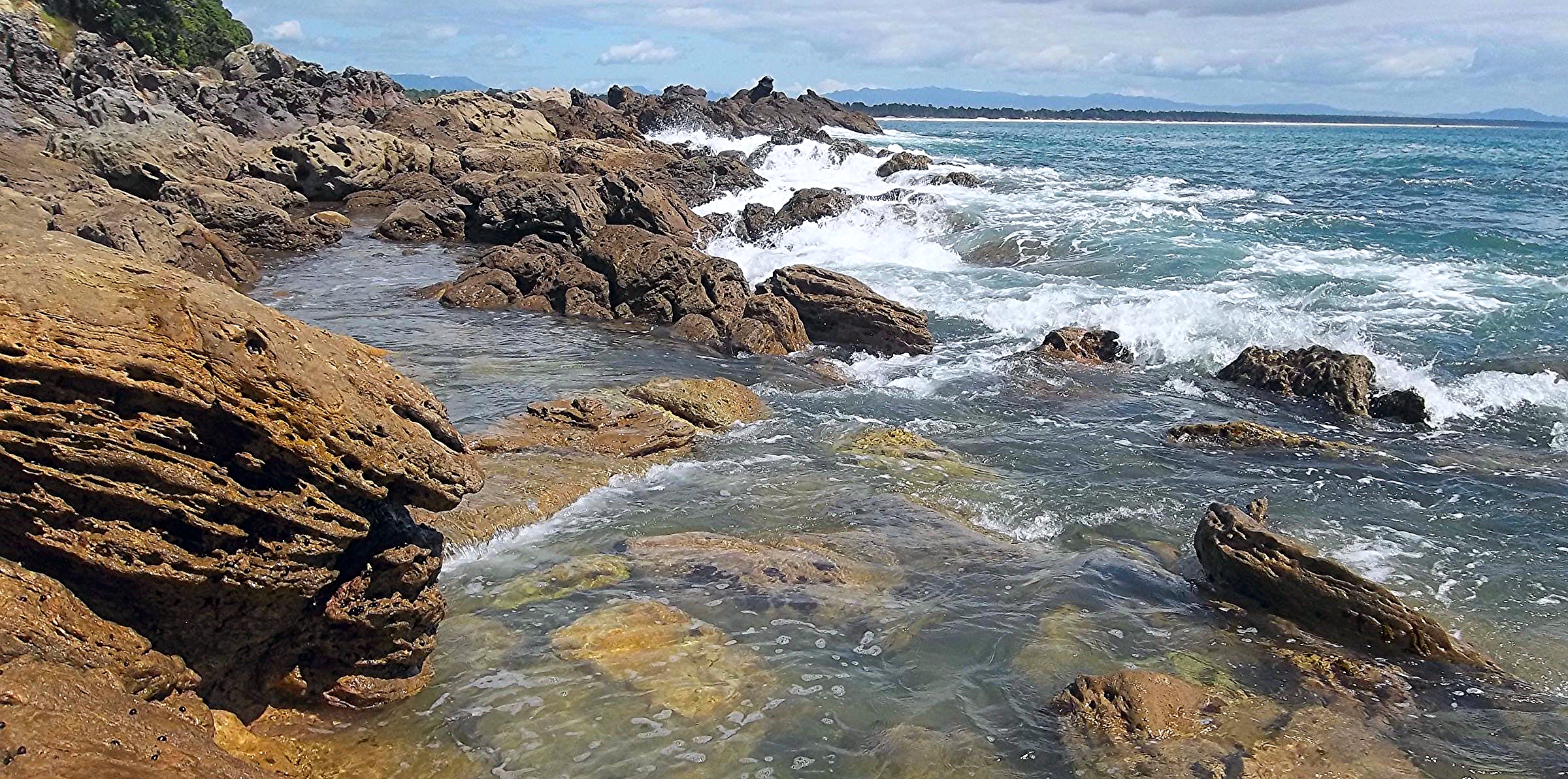 Shell Beach, NZ: Bryan Miller