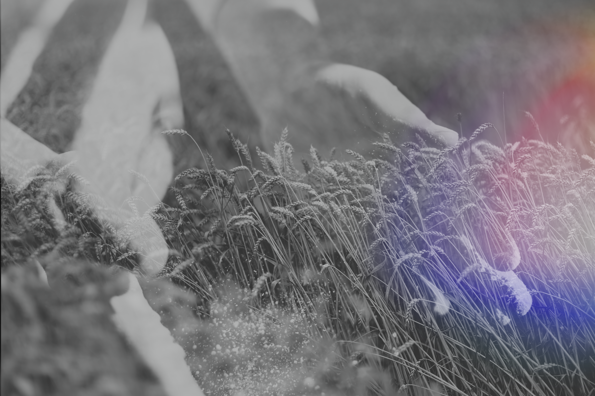 Header Image 10 b.png
