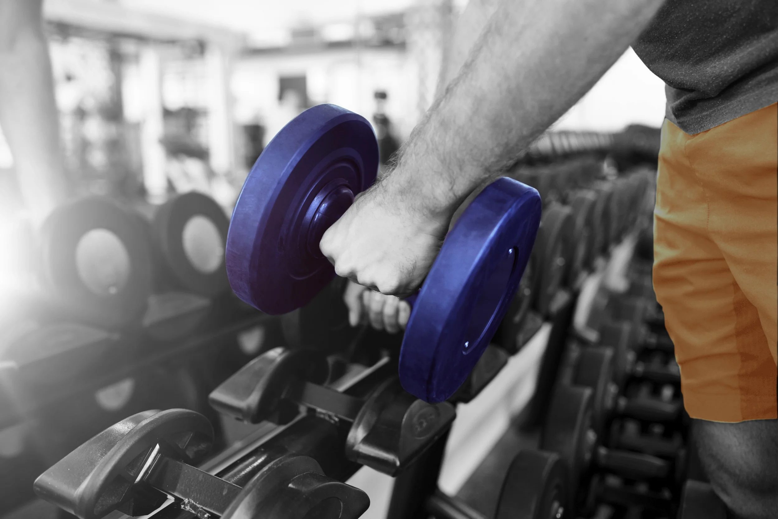 weights colorized.jpg