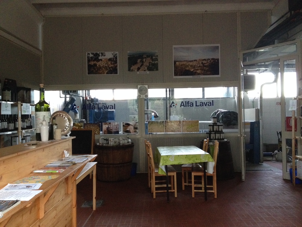 inside olive oil factory.jpg