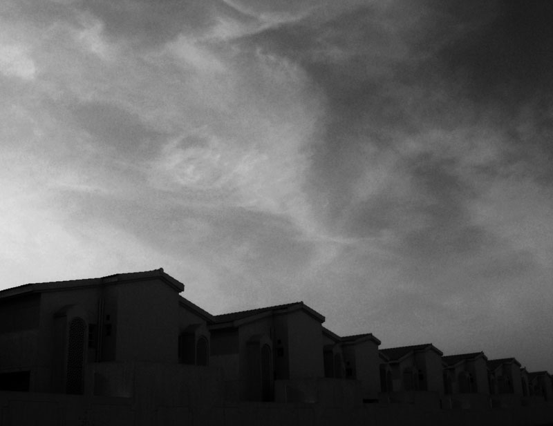 'Beverly Hills Gardens 2', 2008, digital photography, variable dimensions