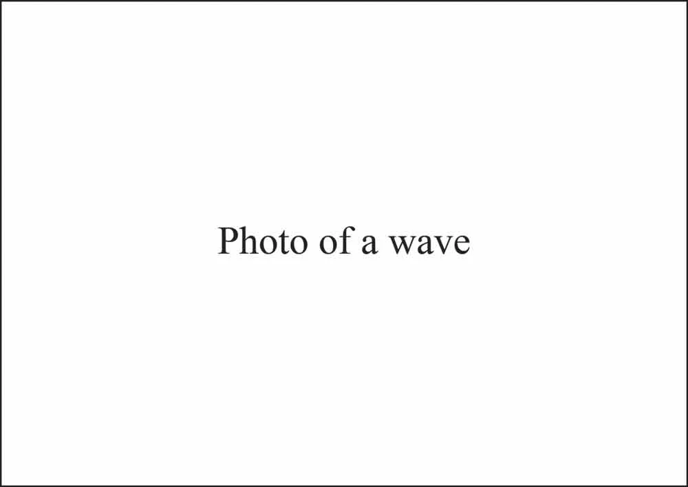 'Oh Tokyo - slide 2', 2011, text, variable dimensions