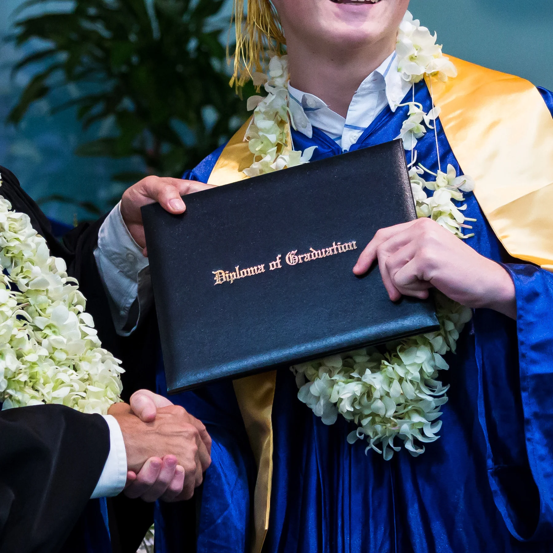2017 Senior Grade Thumbnail 1.jpg